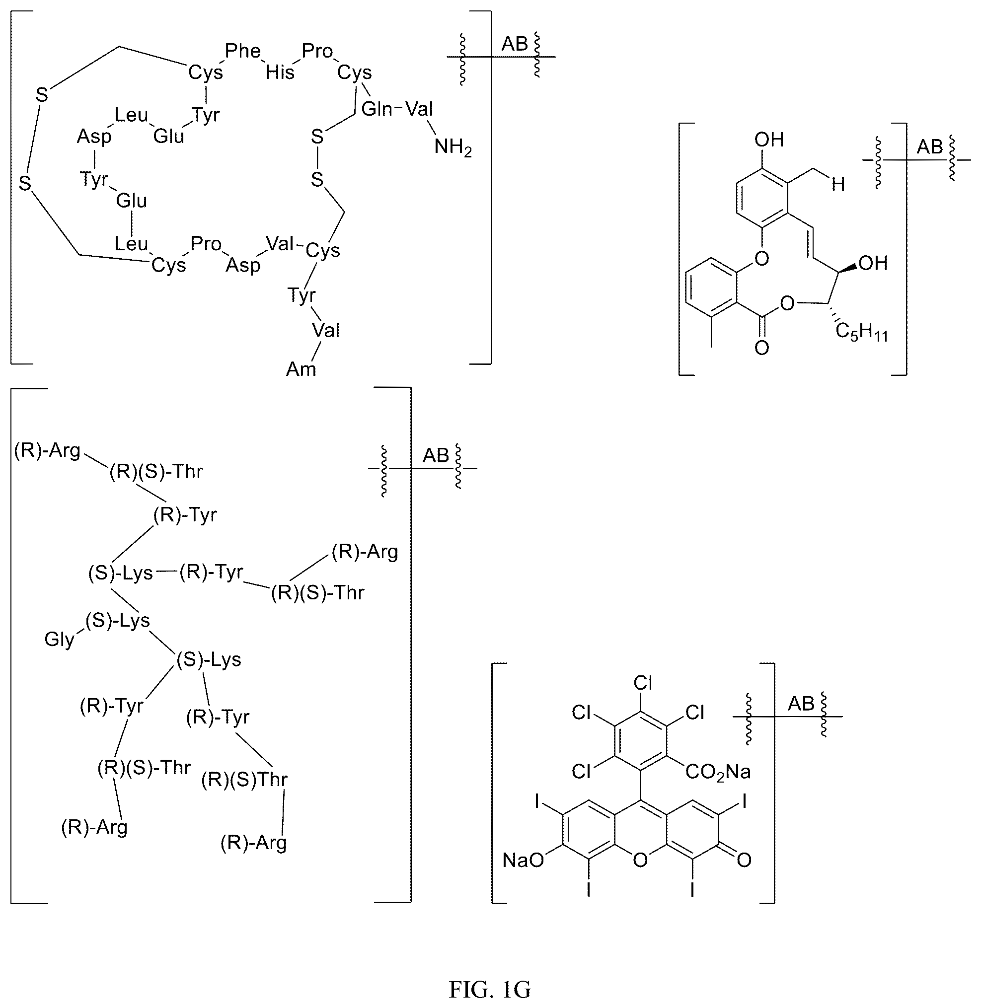 Patent US12312340 Figure 7 – Potent ASGPR-binding compounds for the degradation of immunoglobulins and other proteins