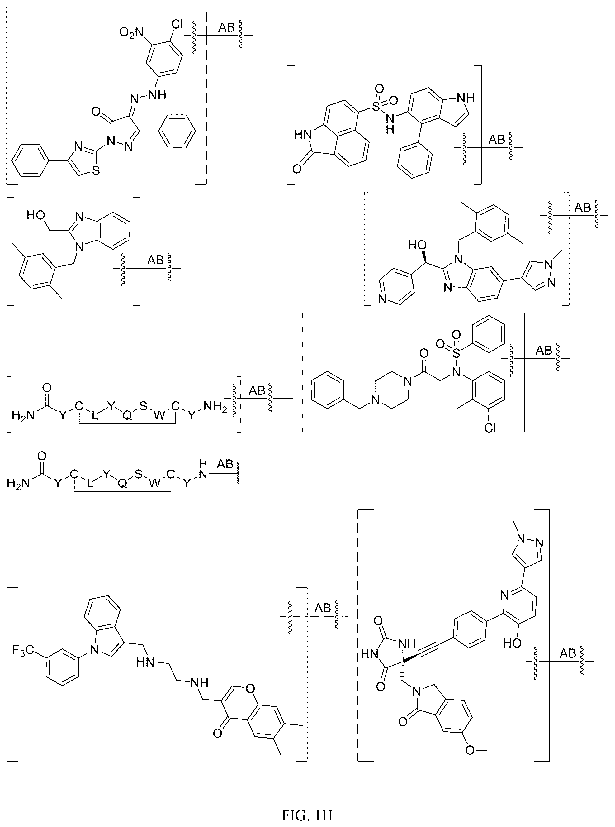 Patent US12312340 Figure 8 – Potent ASGPR-binding compounds for the degradation of immunoglobulins and other proteins