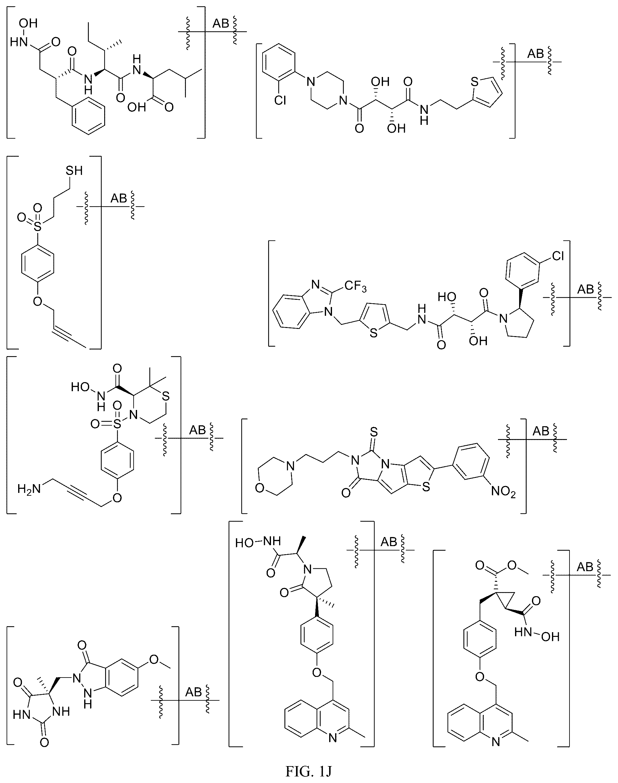 Patent US12312340 Figure 10 – Potent ASGPR-binding compounds for the degradation of immunoglobulins and other proteins