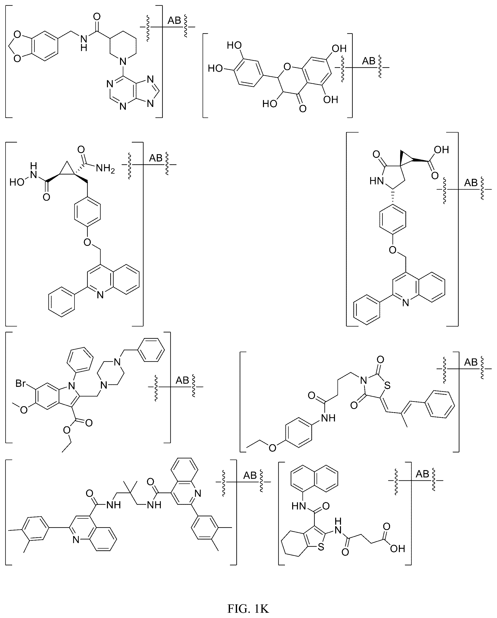 Patent US12312340 Figure 11 – Potent ASGPR-binding compounds for the degradation of immunoglobulins and other proteins