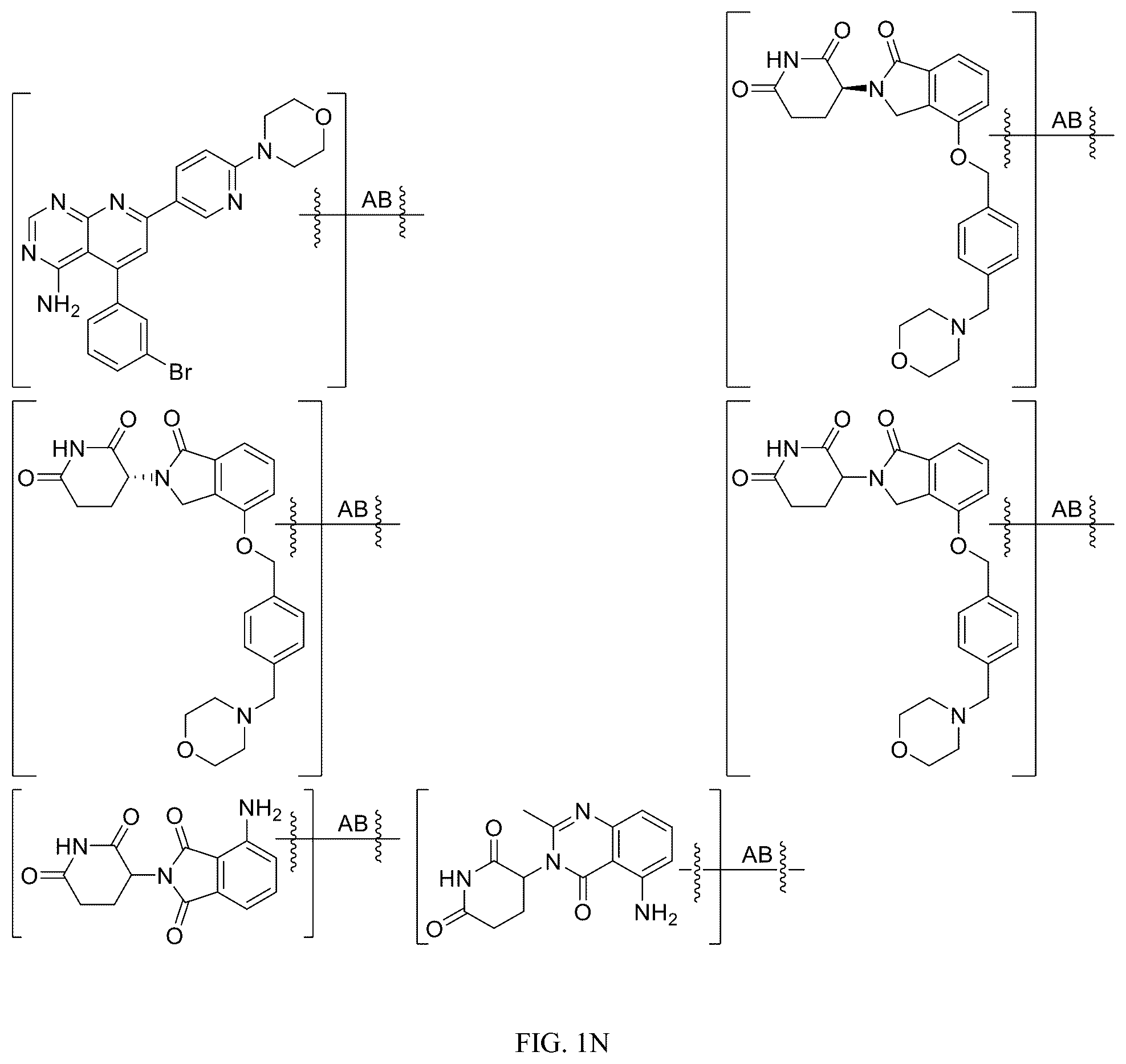 Patent US12312340 Figure 14 – Potent ASGPR-binding compounds for the degradation of immunoglobulins and other proteins
