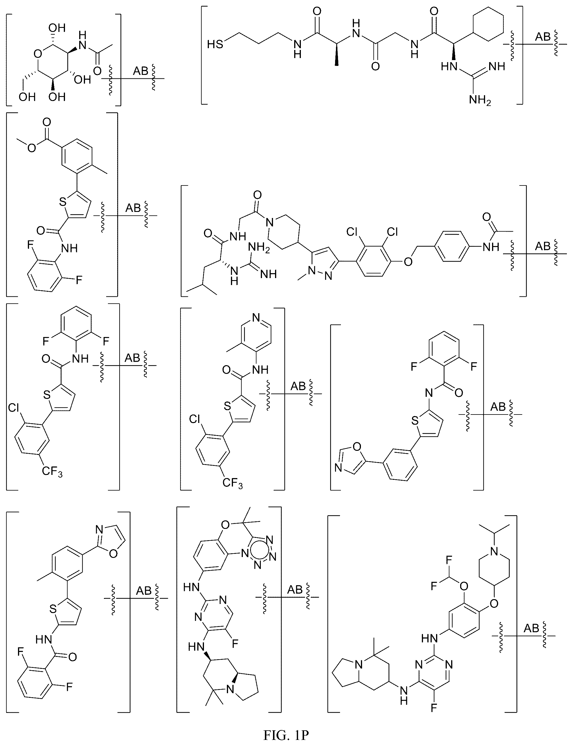 Patent US12312340 Figure 16 – Potent ASGPR-binding compounds for the degradation of immunoglobulins and other proteins