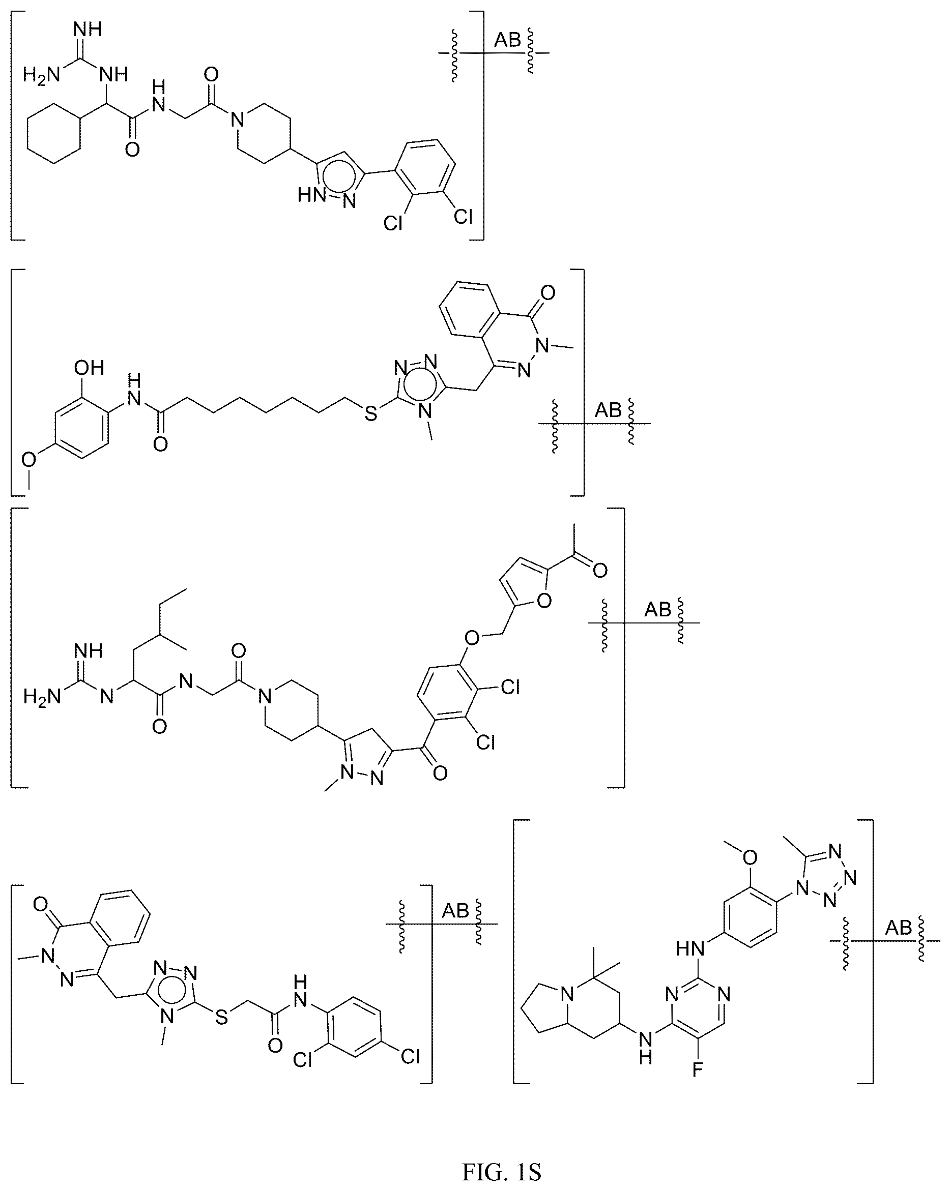 Patent US12312340 Figure 19 – Potent ASGPR-binding compounds for the degradation of immunoglobulins and other proteins