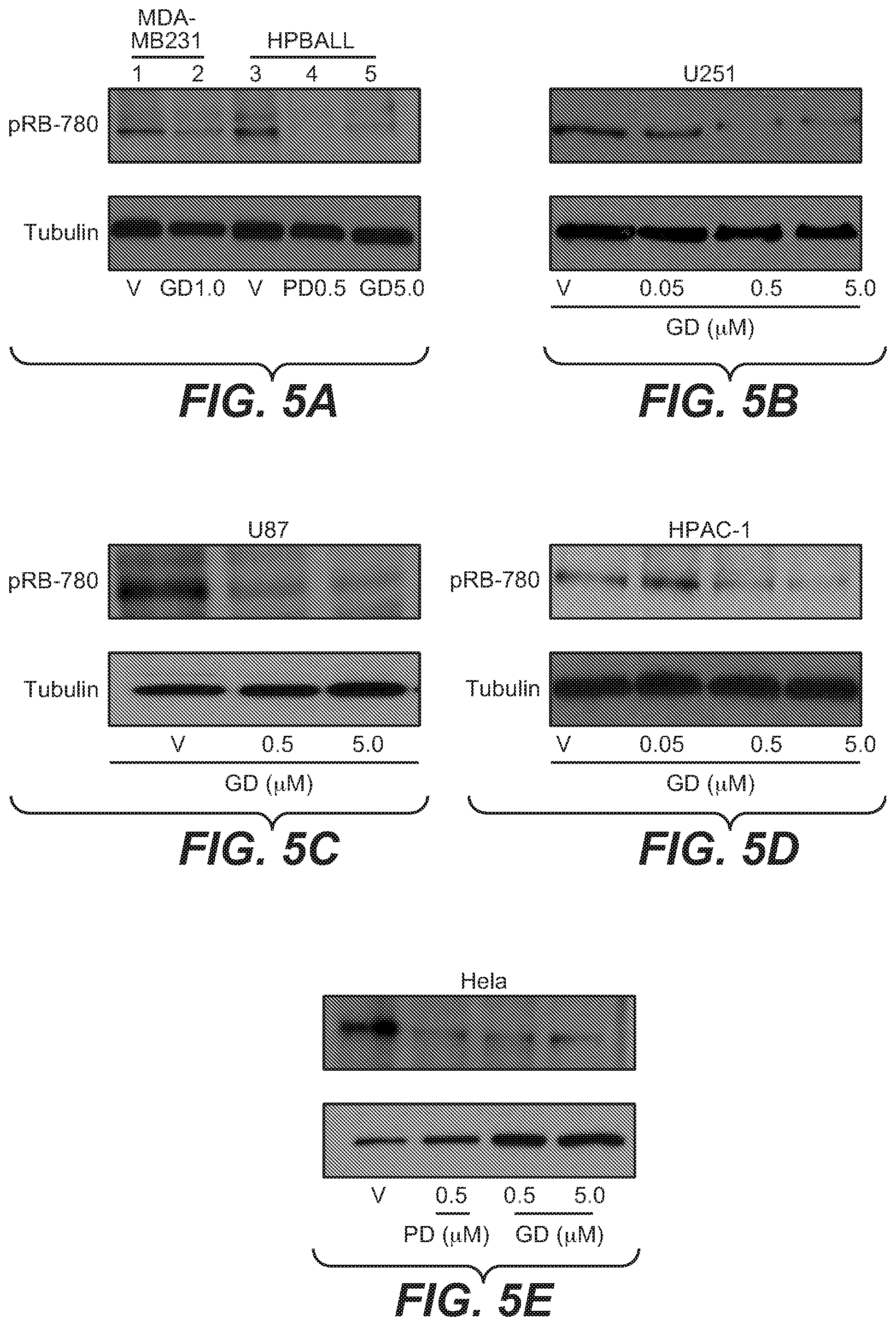 Patent US12312346 Figure 11 – Pyridopyrimidine compounds and methods of their use