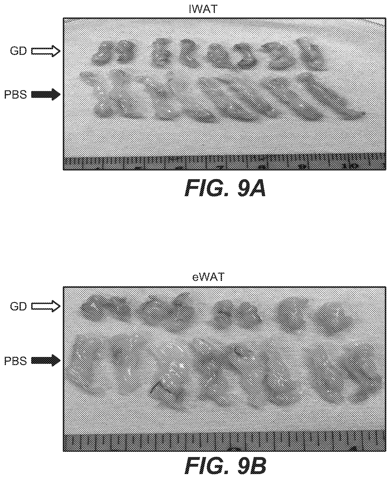 Patent US12312346 Figure 20 – Pyridopyrimidine compounds and methods of their use