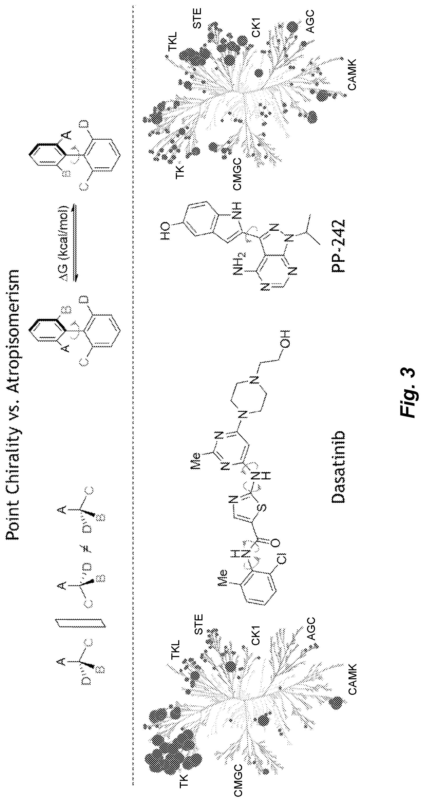 Patent US12312354 Figure 4 – Selective BTK irreversible inhibitors