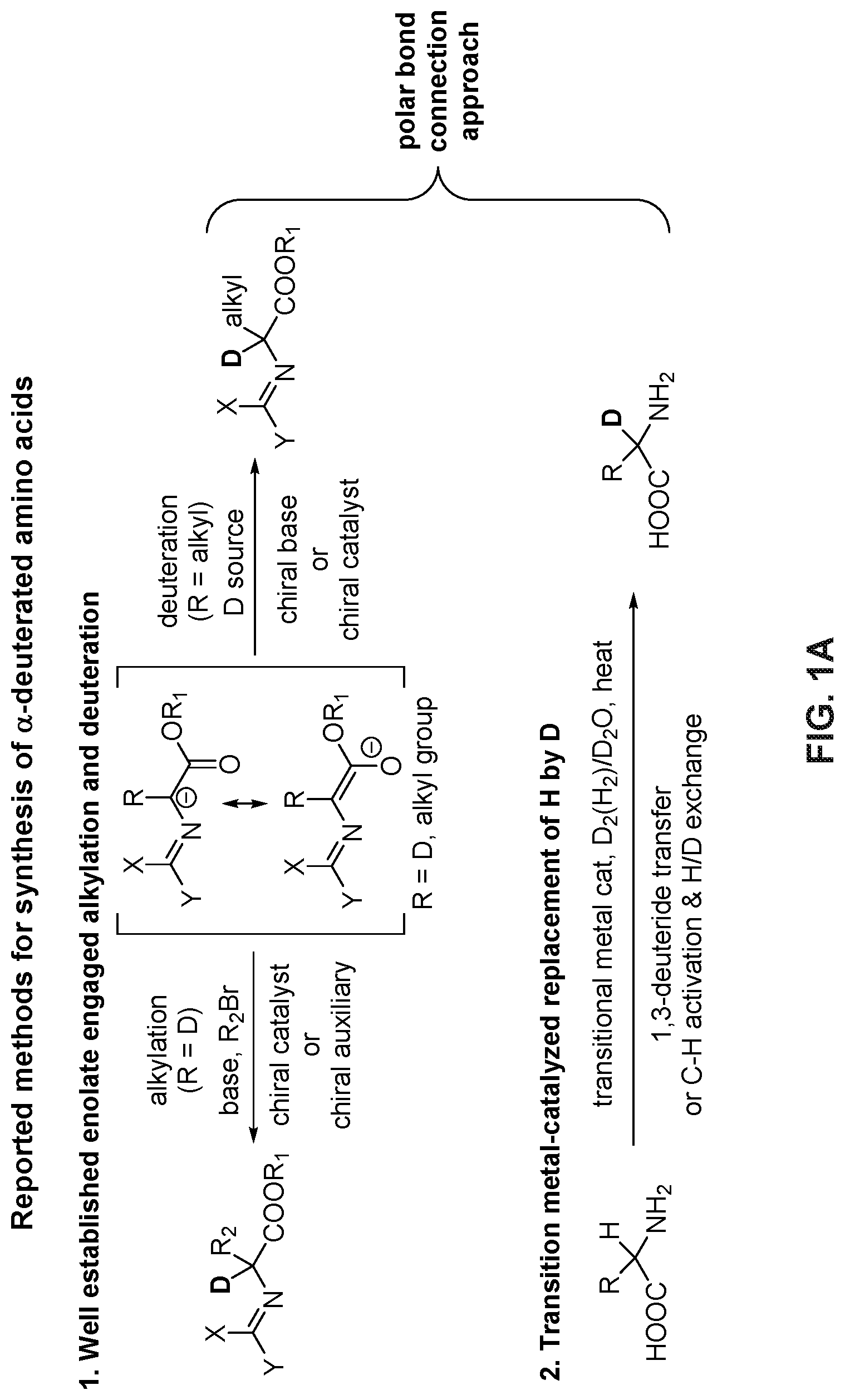 Patent US12312361 Figure 1 – Methods for practical synthesis of deuterated amino acids