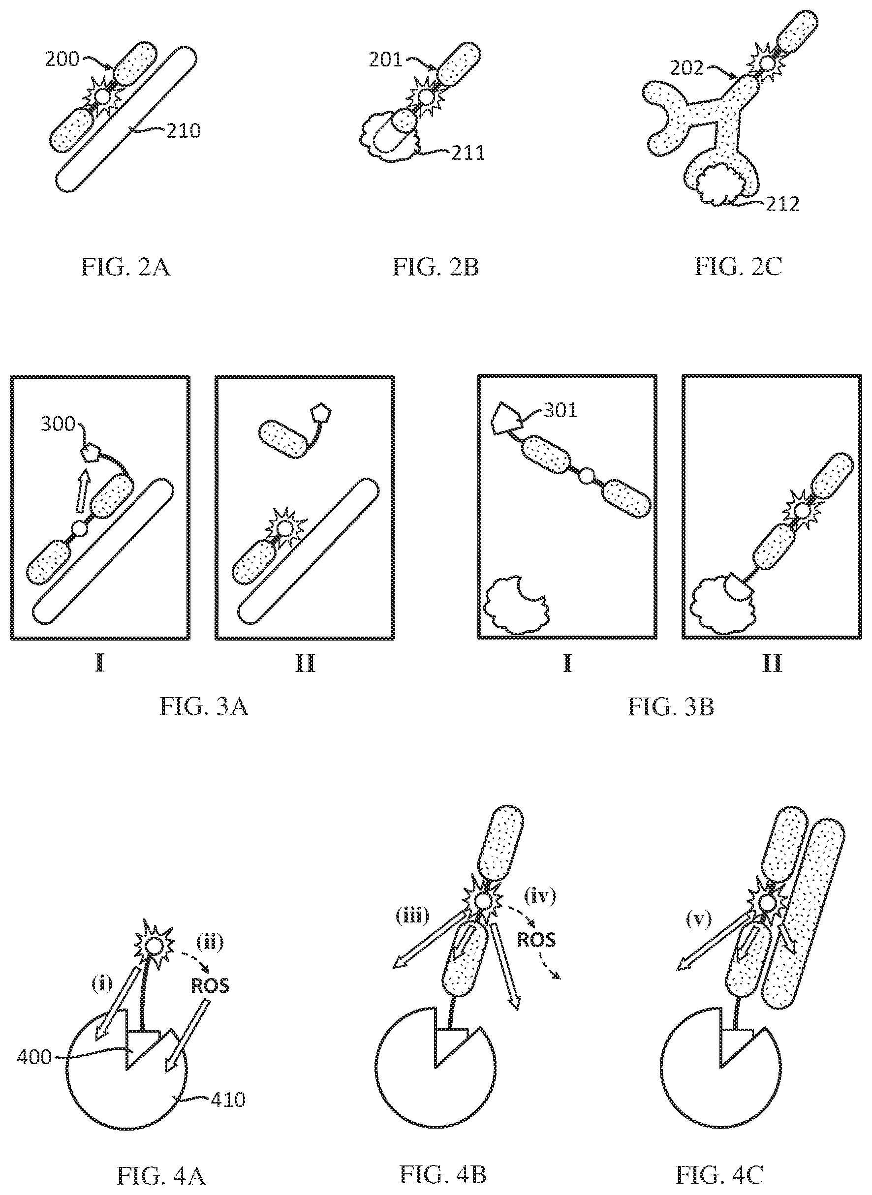 Patent US12312377 Figure 2 – Biconjugatable labels and methods of use