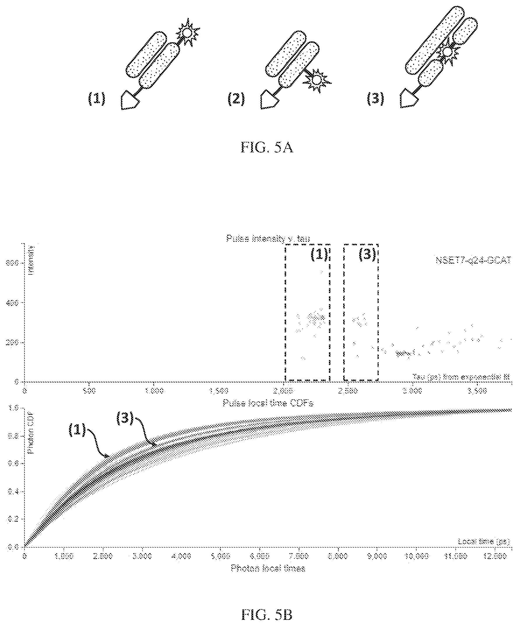 Patent US12312377 Figure 3 – Biconjugatable labels and methods of use
