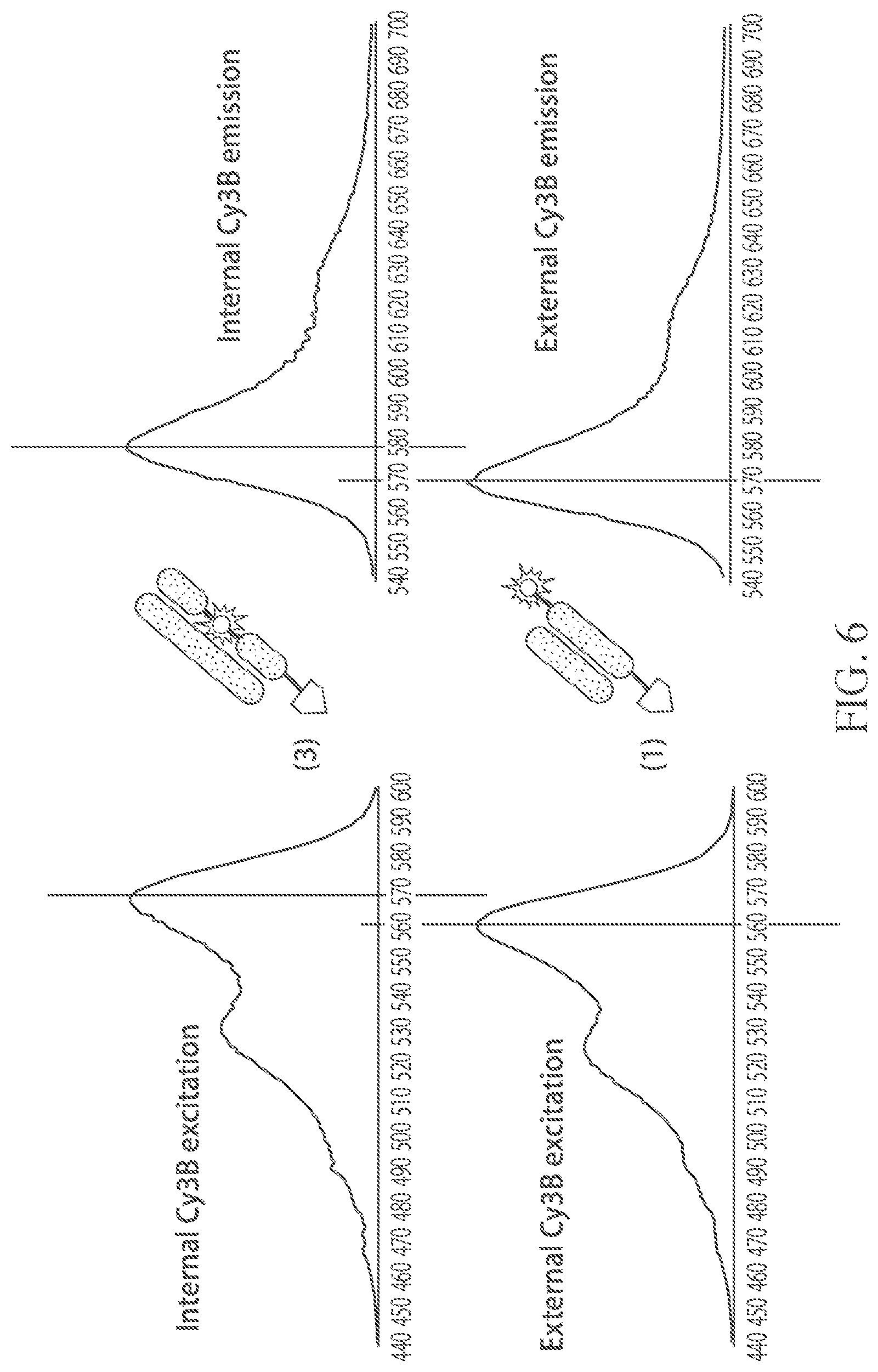 Patent US12312377 Figure 4 – Biconjugatable labels and methods of use