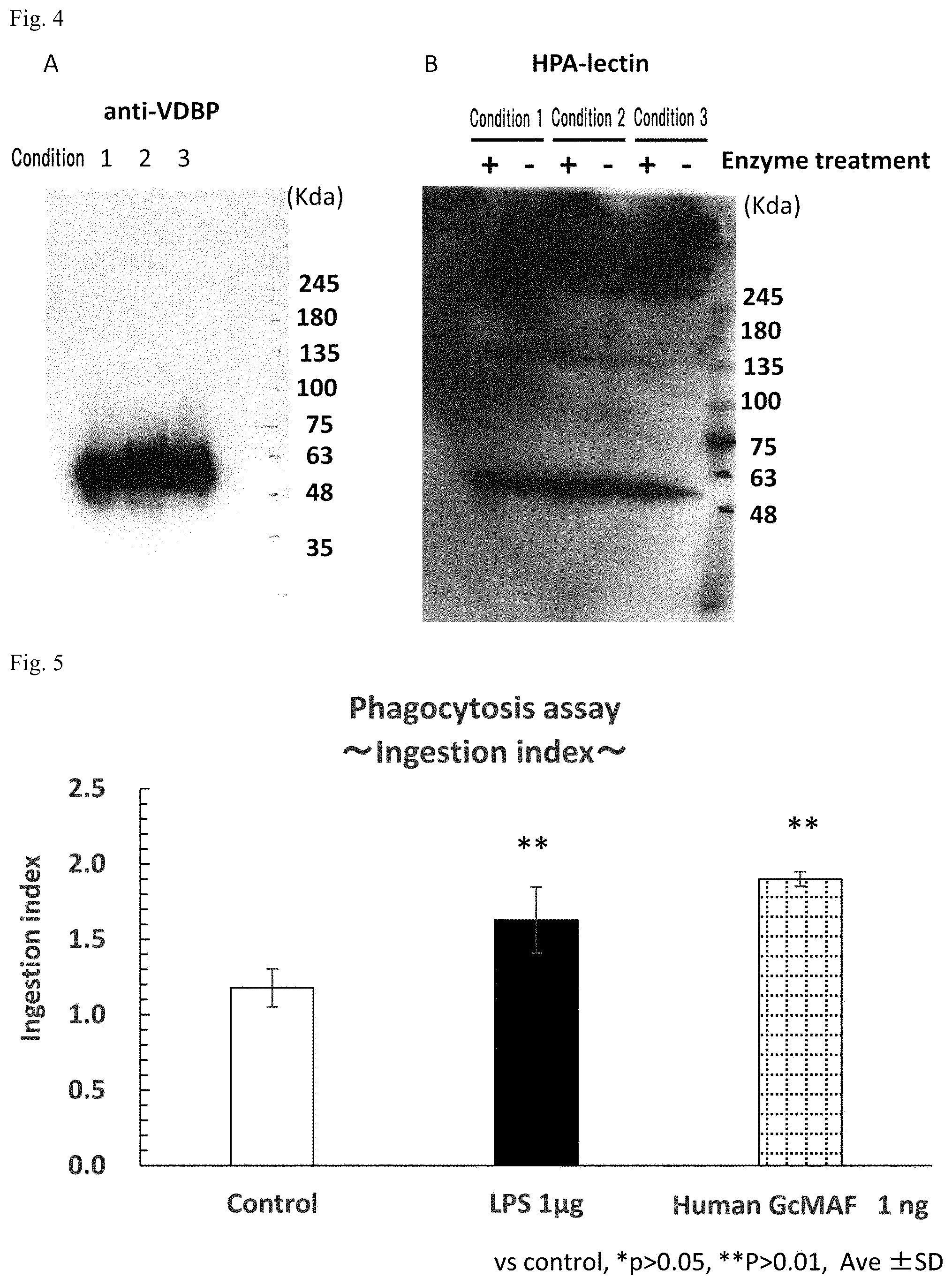 Patent US12312380 Figure 3 – Method for producing active GcMAF