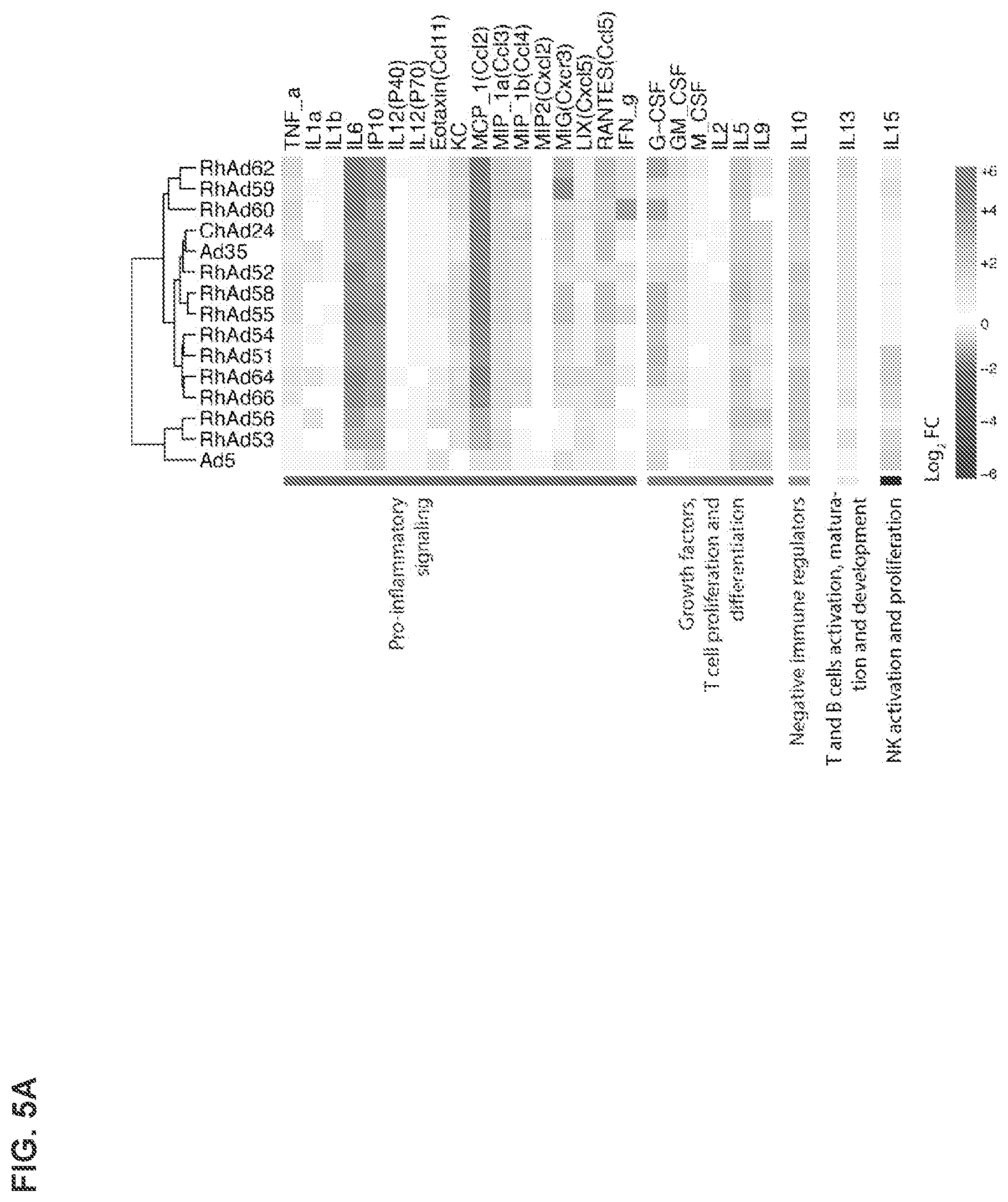Patent US12312382 Figure 10 – Recombinant adenoviruses and uses thereof