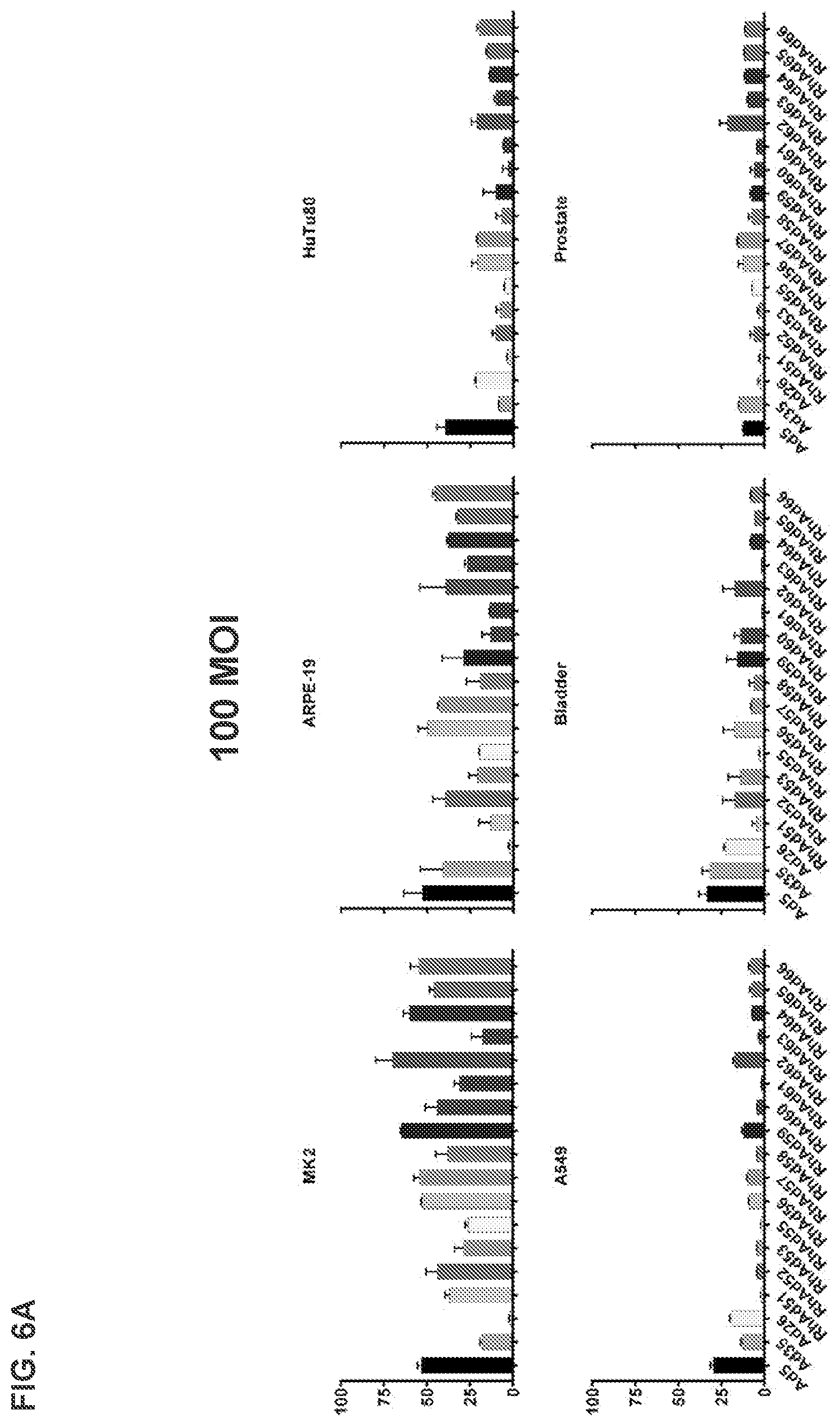 Patent US12312382 Figure 13 – Recombinant adenoviruses and uses thereof
