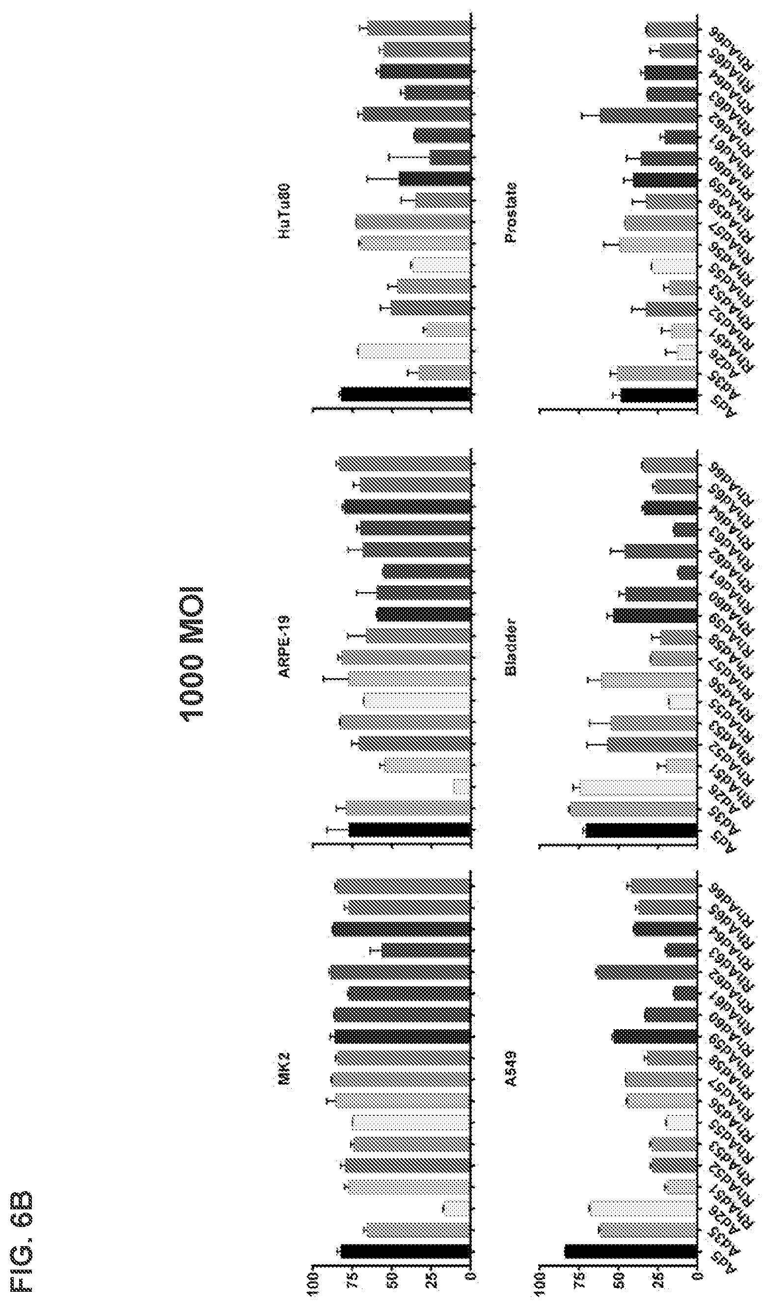 Patent US12312382 Figure 14 – Recombinant adenoviruses and uses thereof