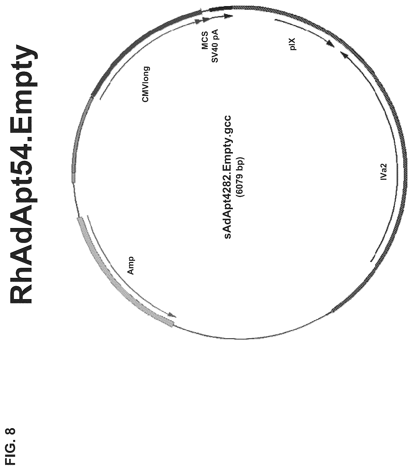 Patent US12312382 Figure 17 – Recombinant adenoviruses and uses thereof