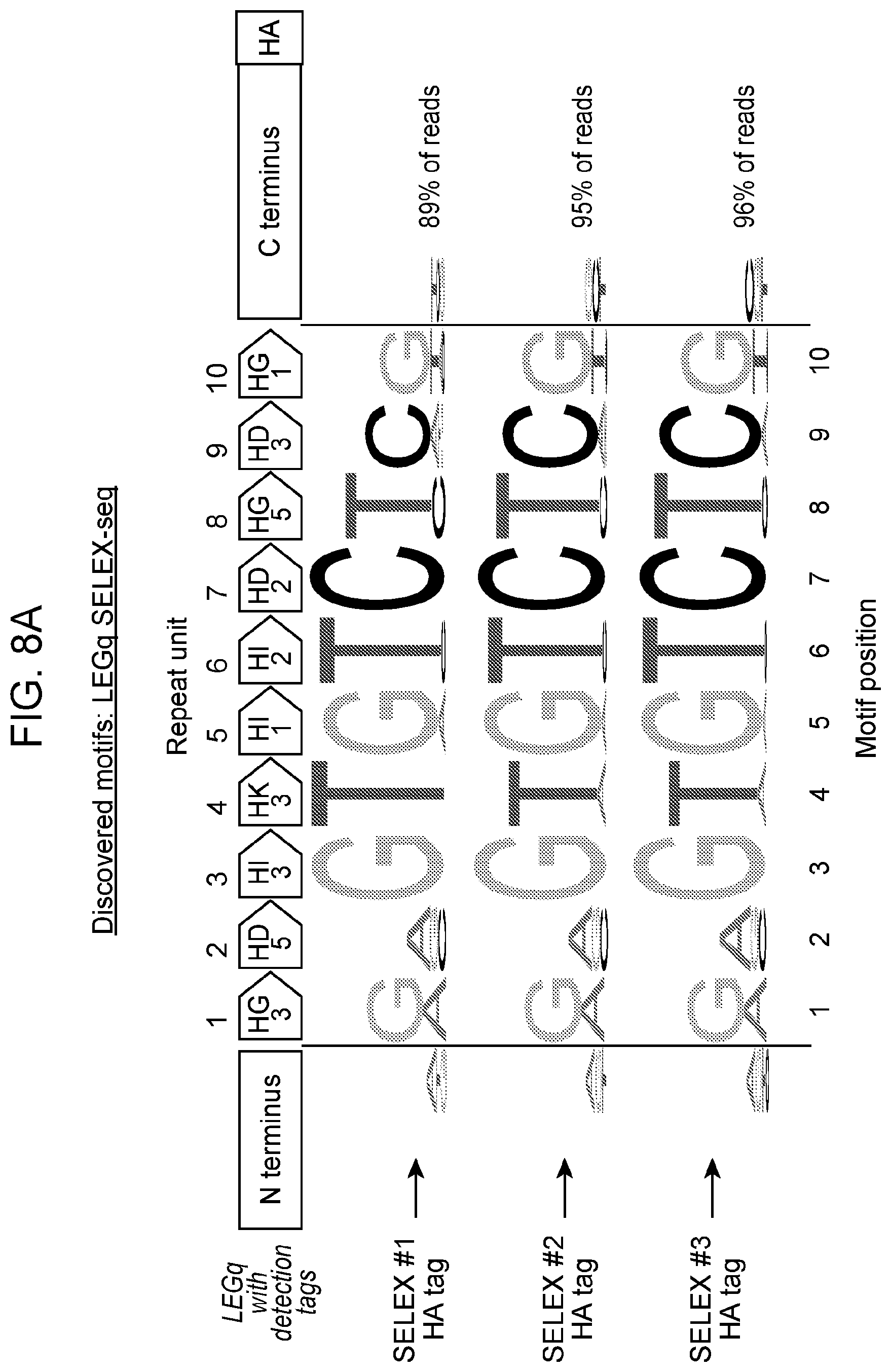 Patent US12312383 Figure 6 – Animal pathogen-derived polypeptides and uses thereof for genetic engineering