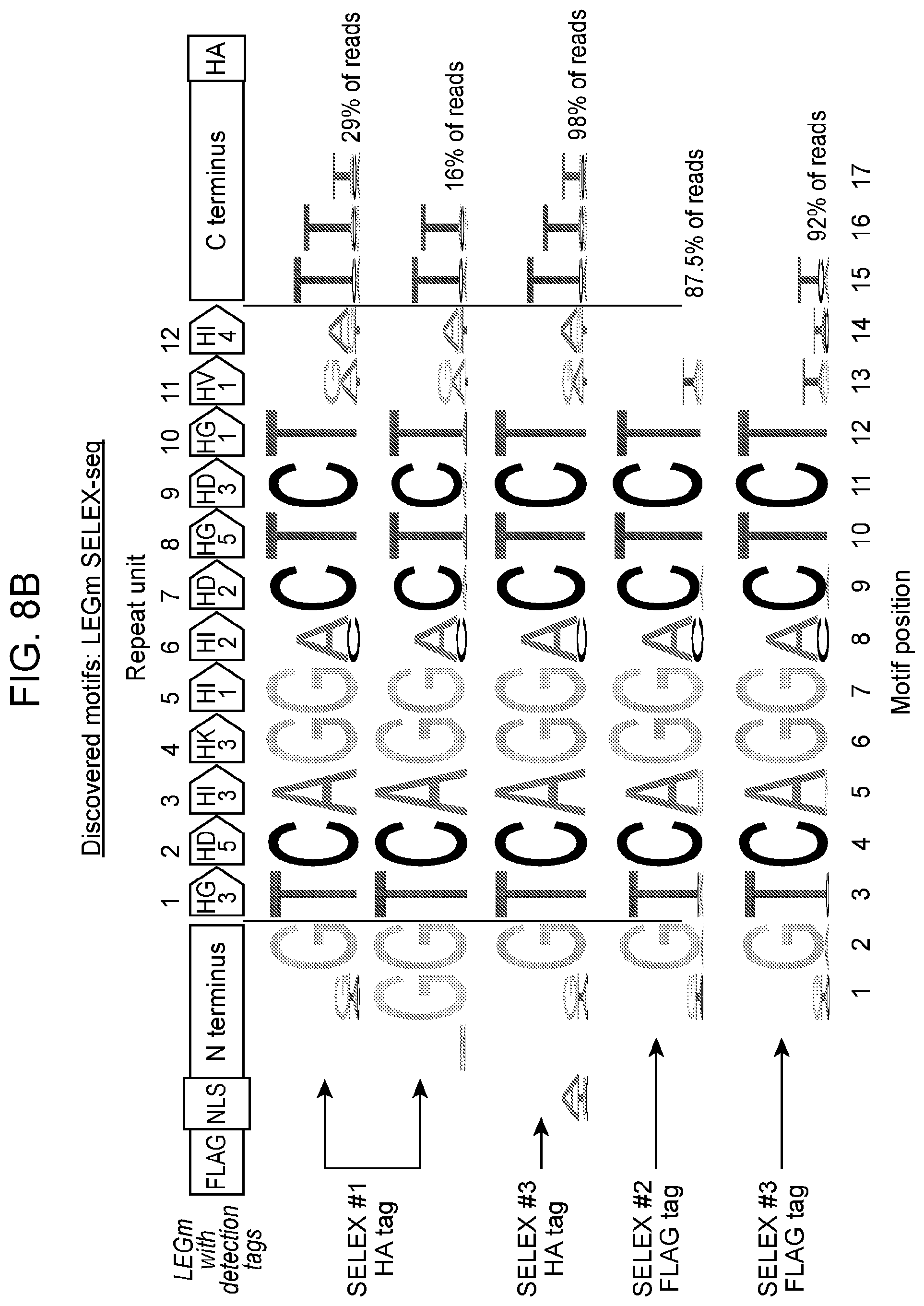 Patent US12312383 Figure 8 – Animal pathogen-derived polypeptides and uses thereof for genetic engineering