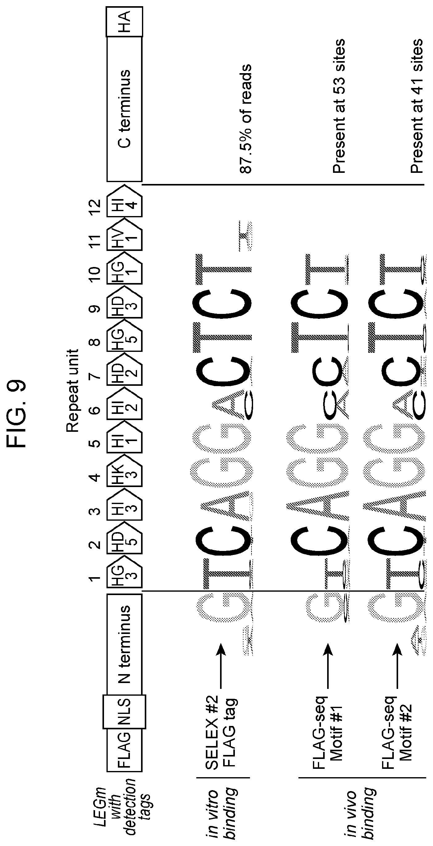 Patent US12312383 Figure 10 – Animal pathogen-derived polypeptides and uses thereof for genetic engineering