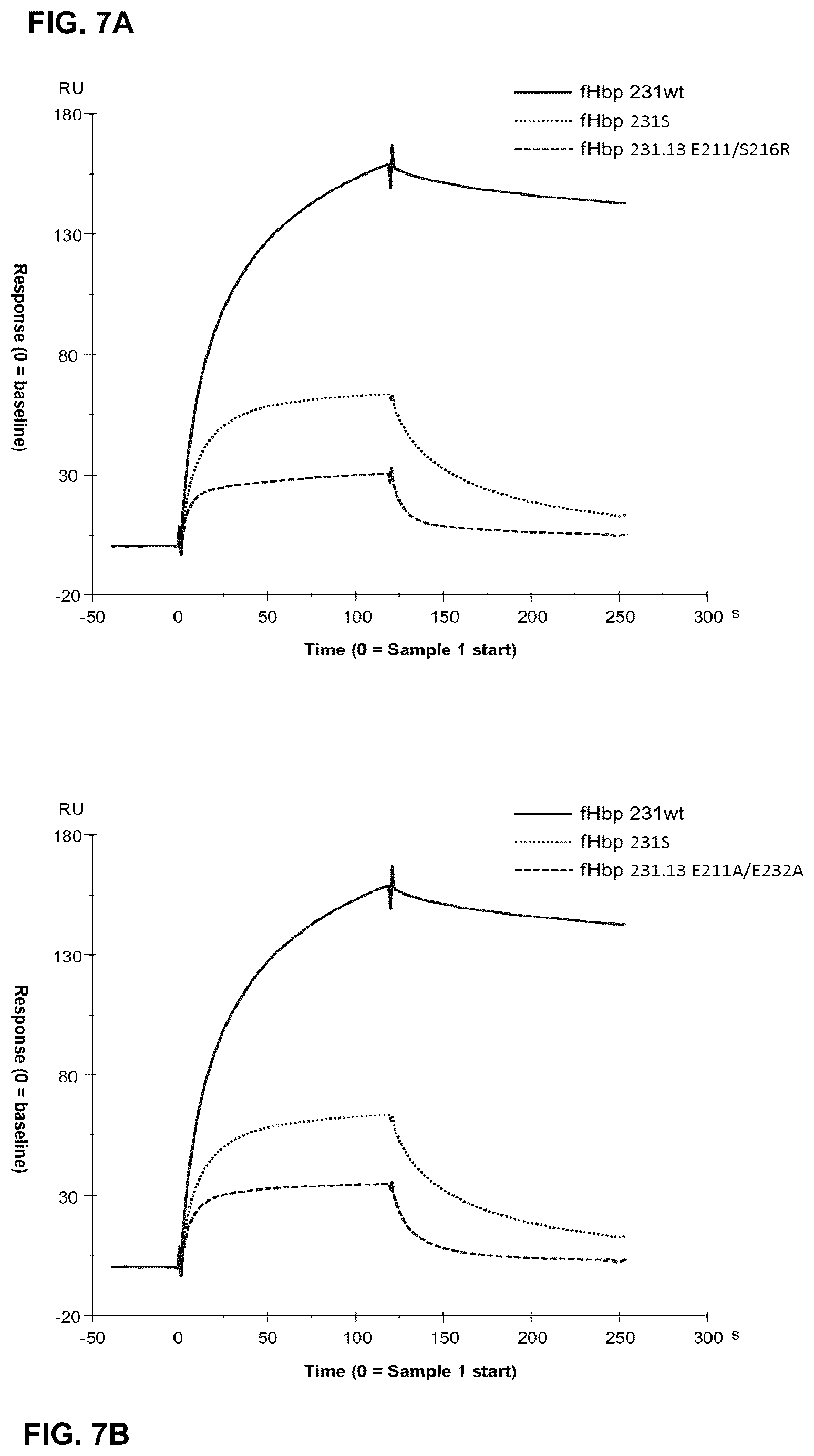 Patent US12312384 Figure 12 – Modified meningococcal fHbp polypeptides