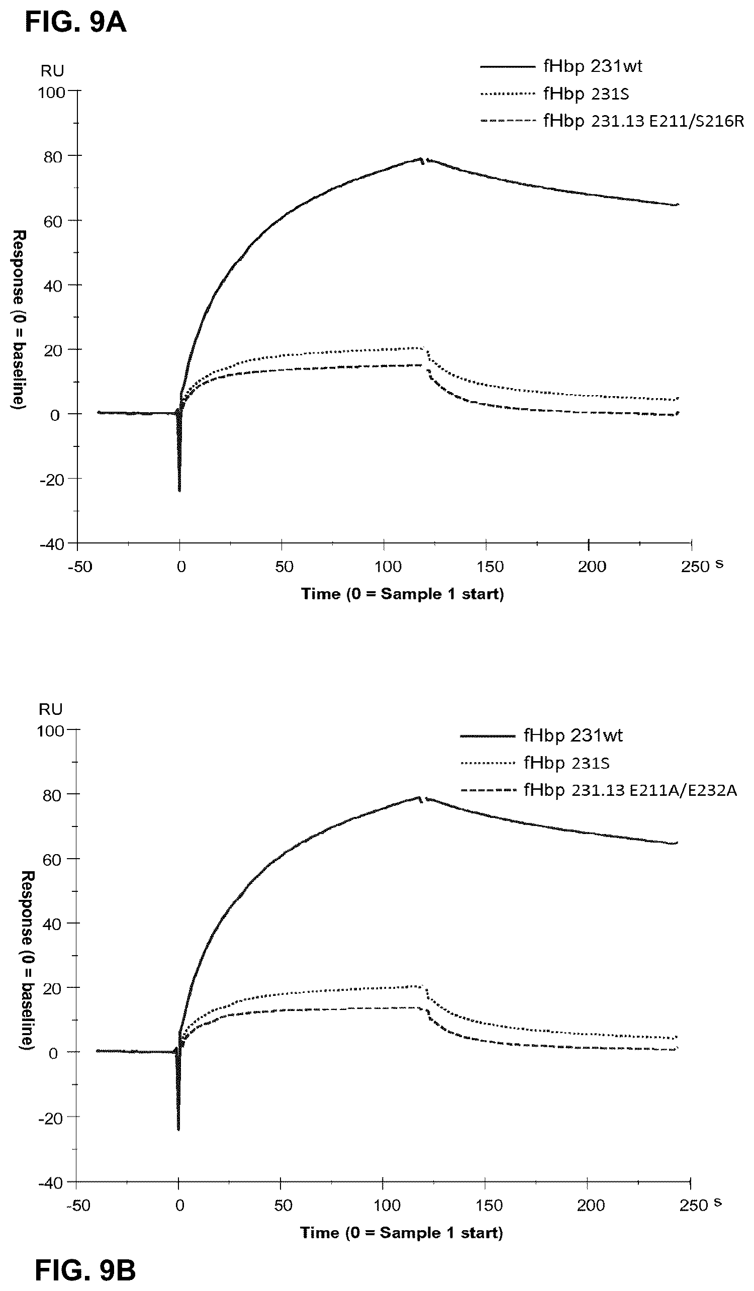 Patent US12312384 Figure 14 – Modified meningococcal fHbp polypeptides