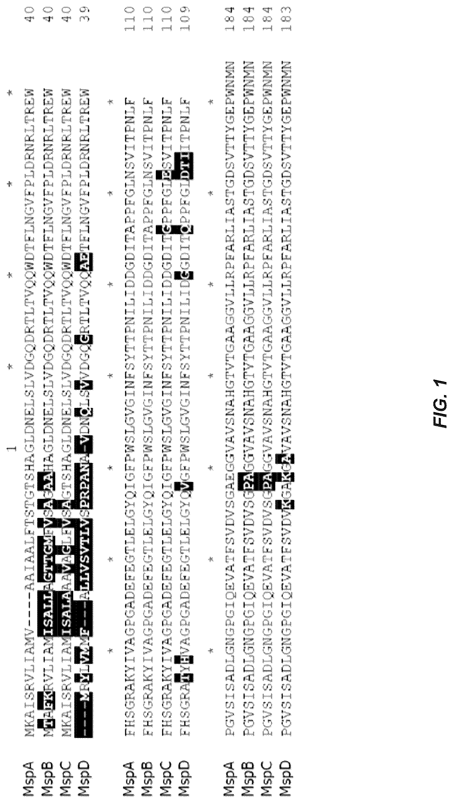 Patent US12312385 Figure 1 – MSP nanopores and uses thereof