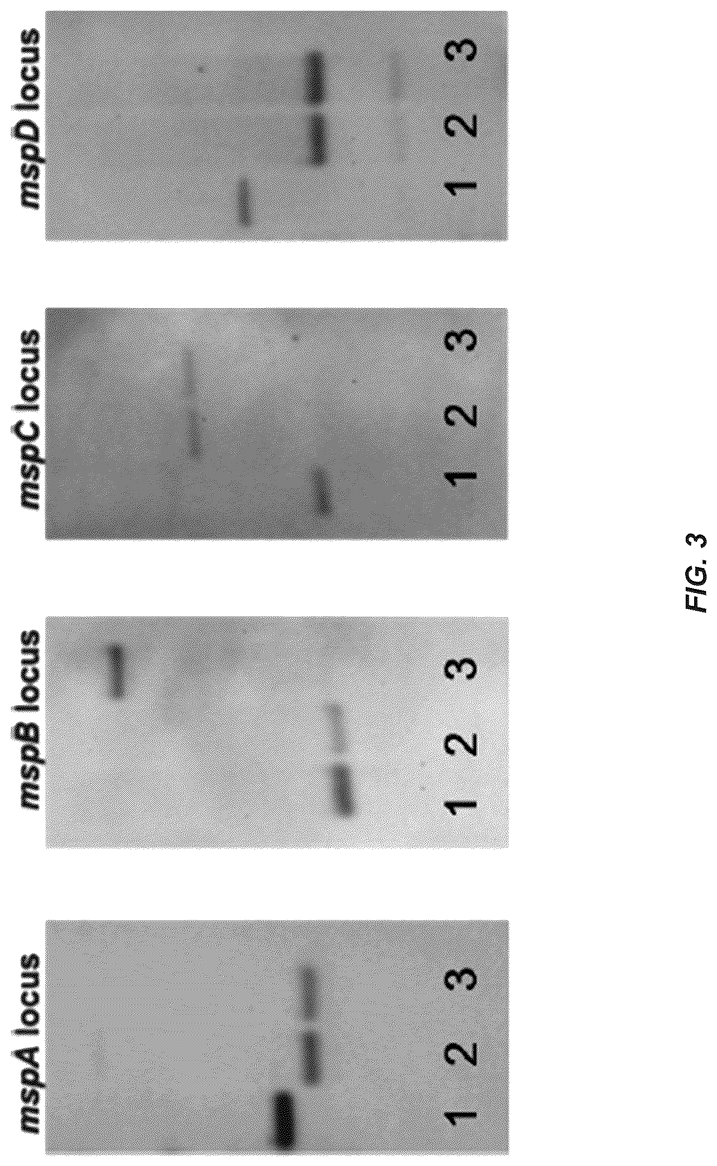 Patent US12312385 Figure 3 – MSP nanopores and uses thereof