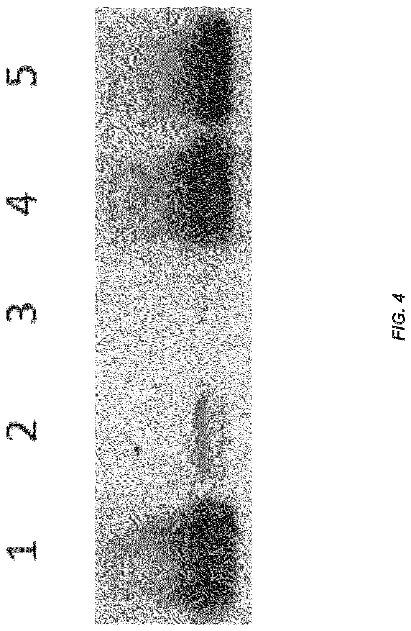 Patent US12312385 Figure 4 – MSP nanopores and uses thereof