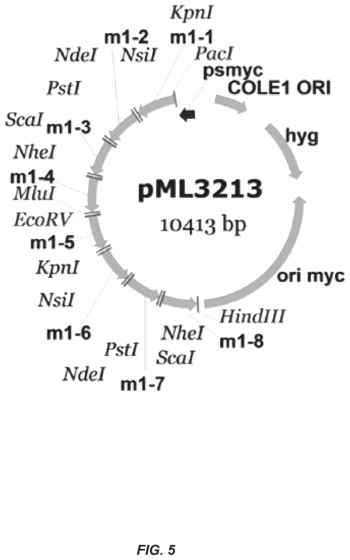 Patent US12312385 Figure 5 – MSP nanopores and uses thereof