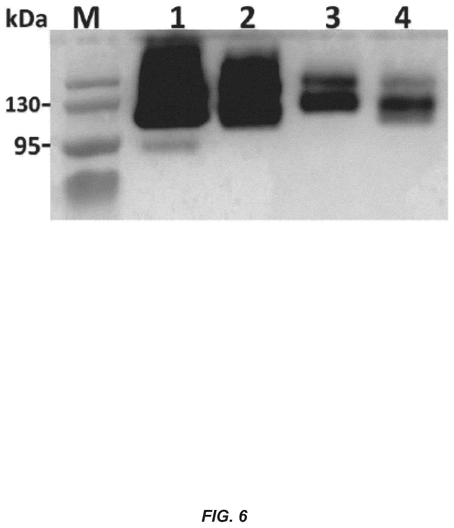 Patent US12312385 Figure 6 – MSP nanopores and uses thereof