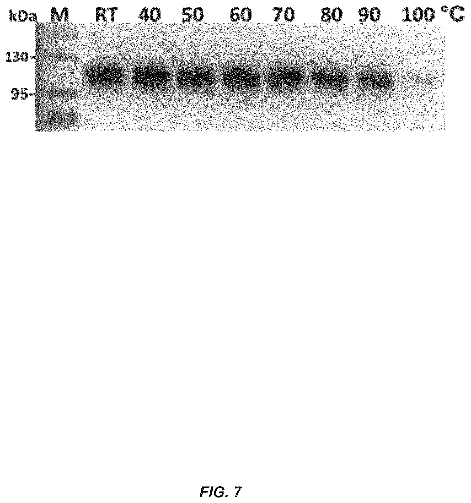 Patent US12312385 Figure 7 – MSP nanopores and uses thereof