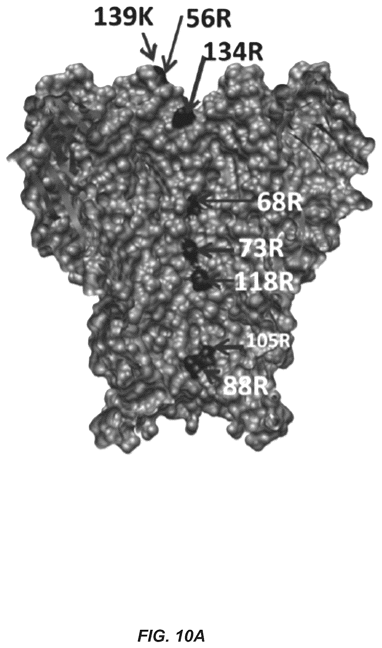 Patent US12312385 Figure 11 – MSP nanopores and uses thereof