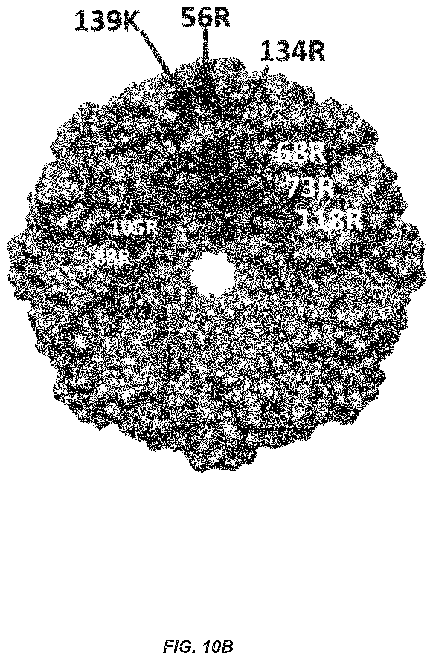 Patent US12312385 Figure 12 – MSP nanopores and uses thereof