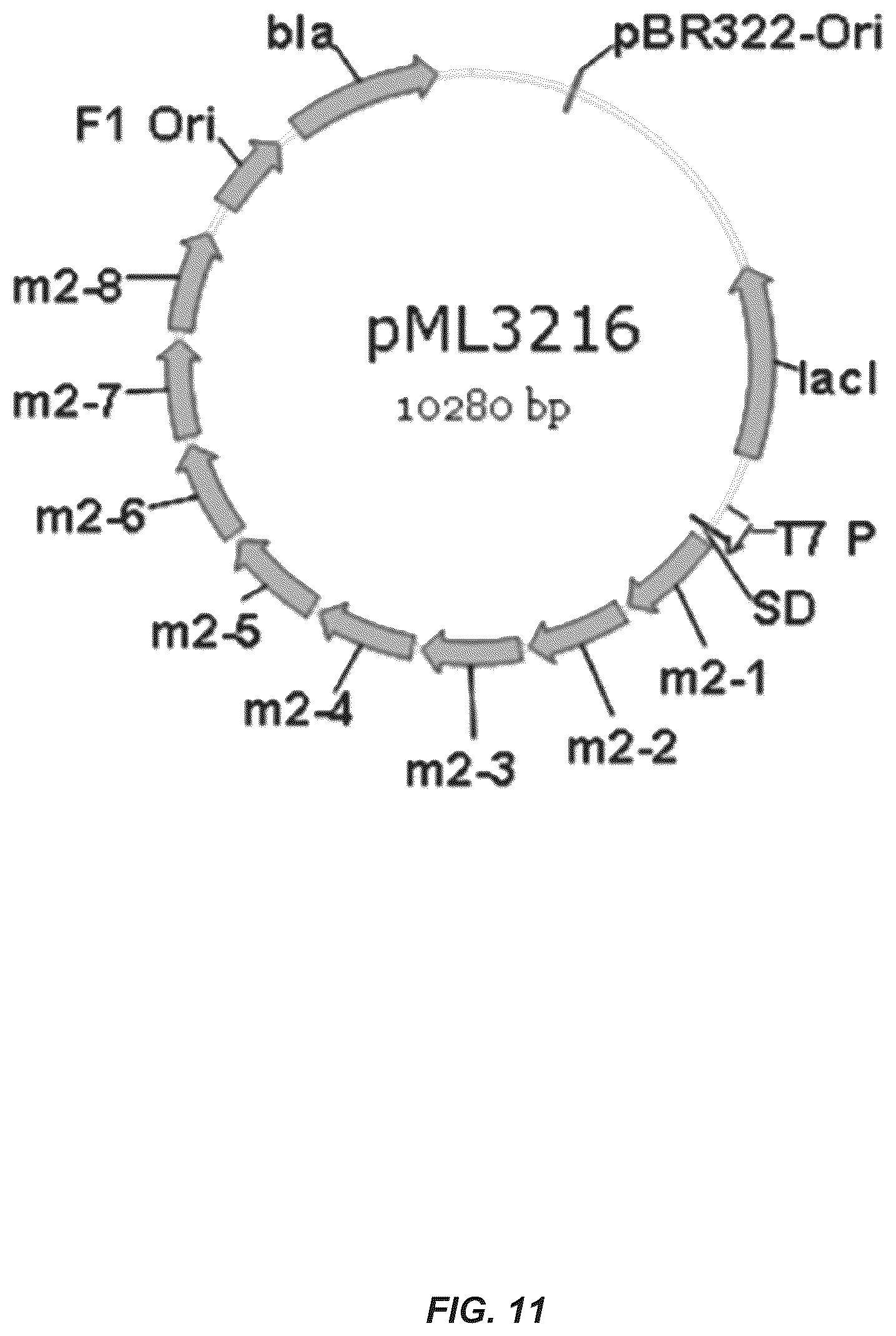 Patent US12312385 Figure 14 – MSP nanopores and uses thereof
