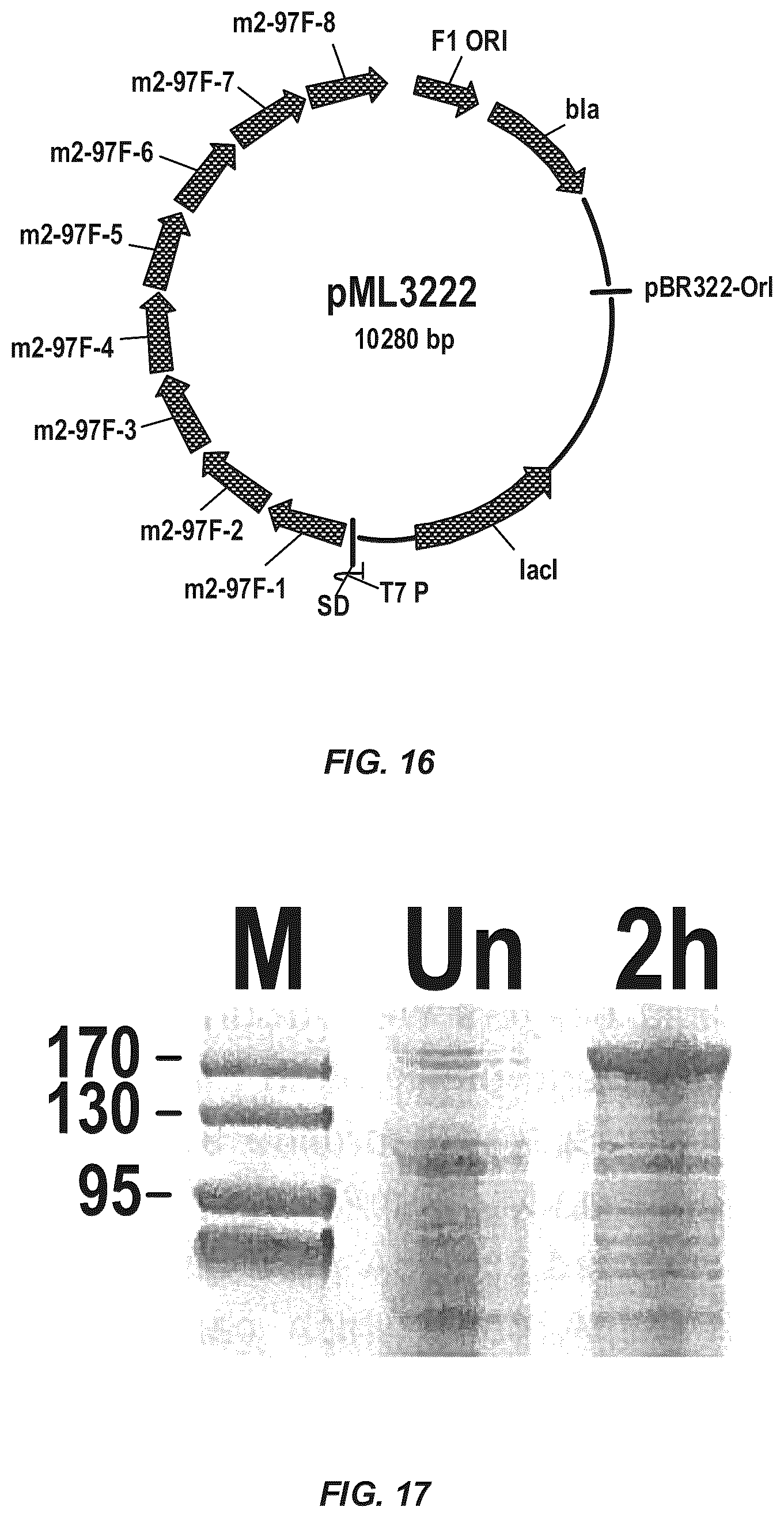 Patent US12312385 Figure 20 – MSP nanopores and uses thereof