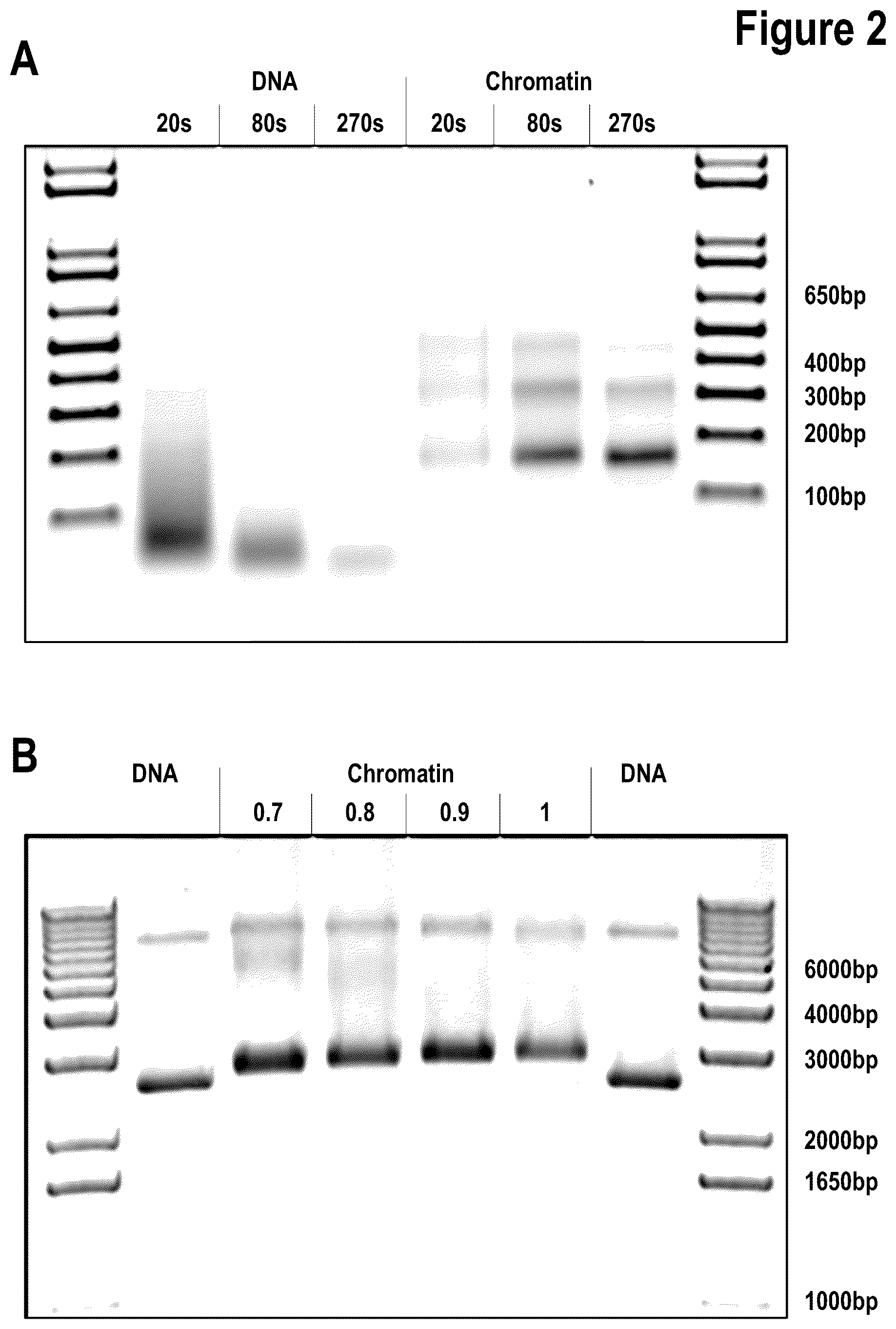 Patent US12312386 Figure 2 – Targeted intracellular delivery of large nucleic acids