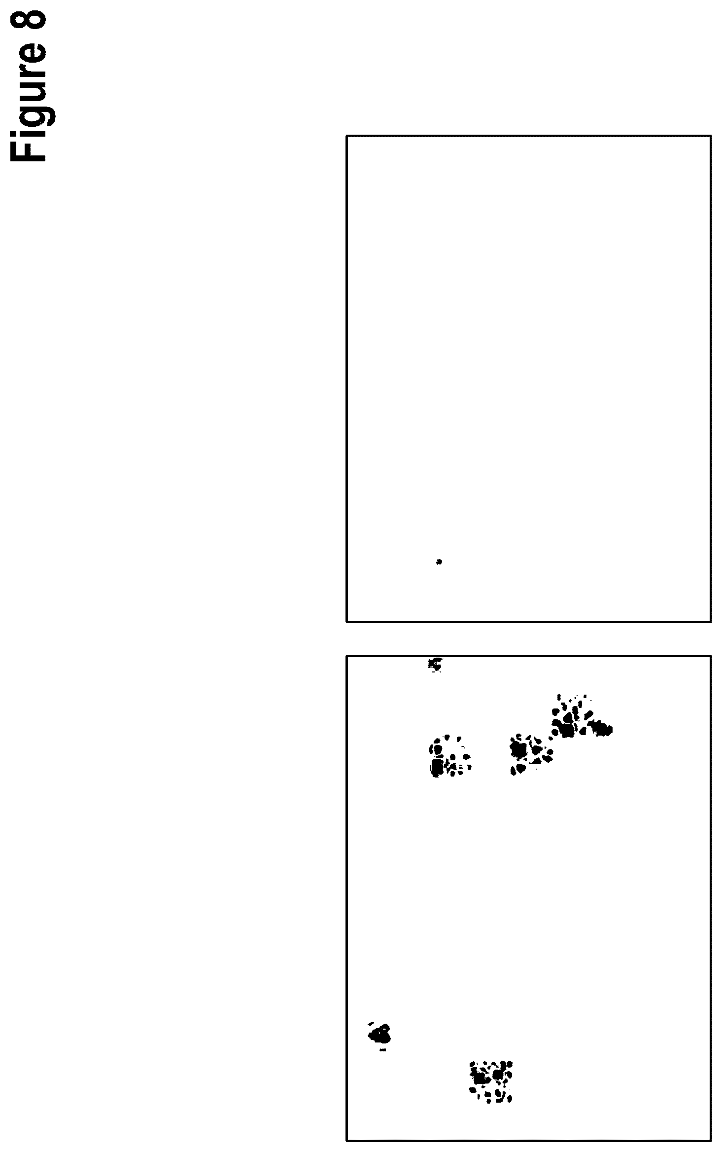 Patent US12312386 Figure 11 – Targeted intracellular delivery of large nucleic acids