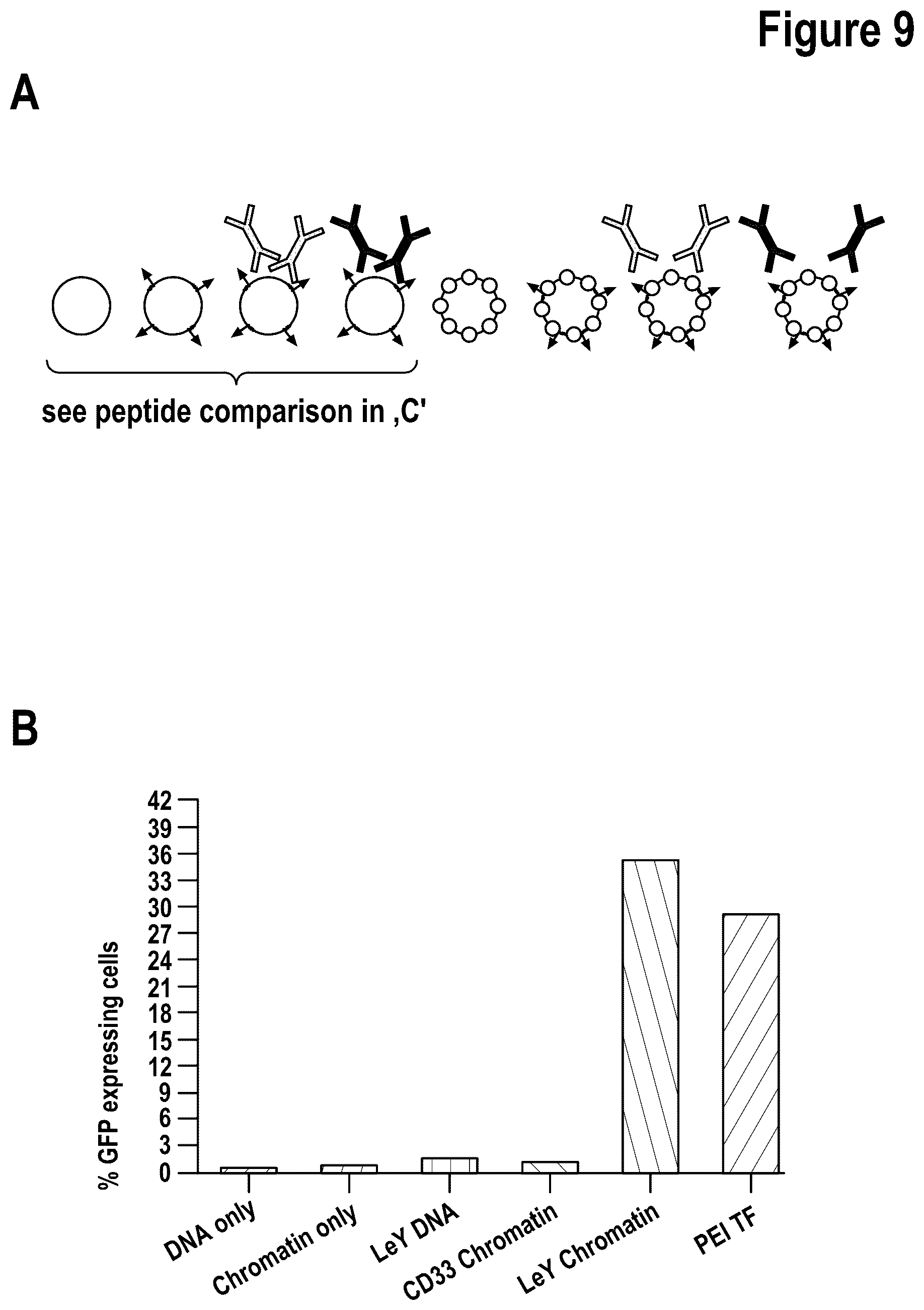 Patent US12312386 Figure 12 – Targeted intracellular delivery of large nucleic acids