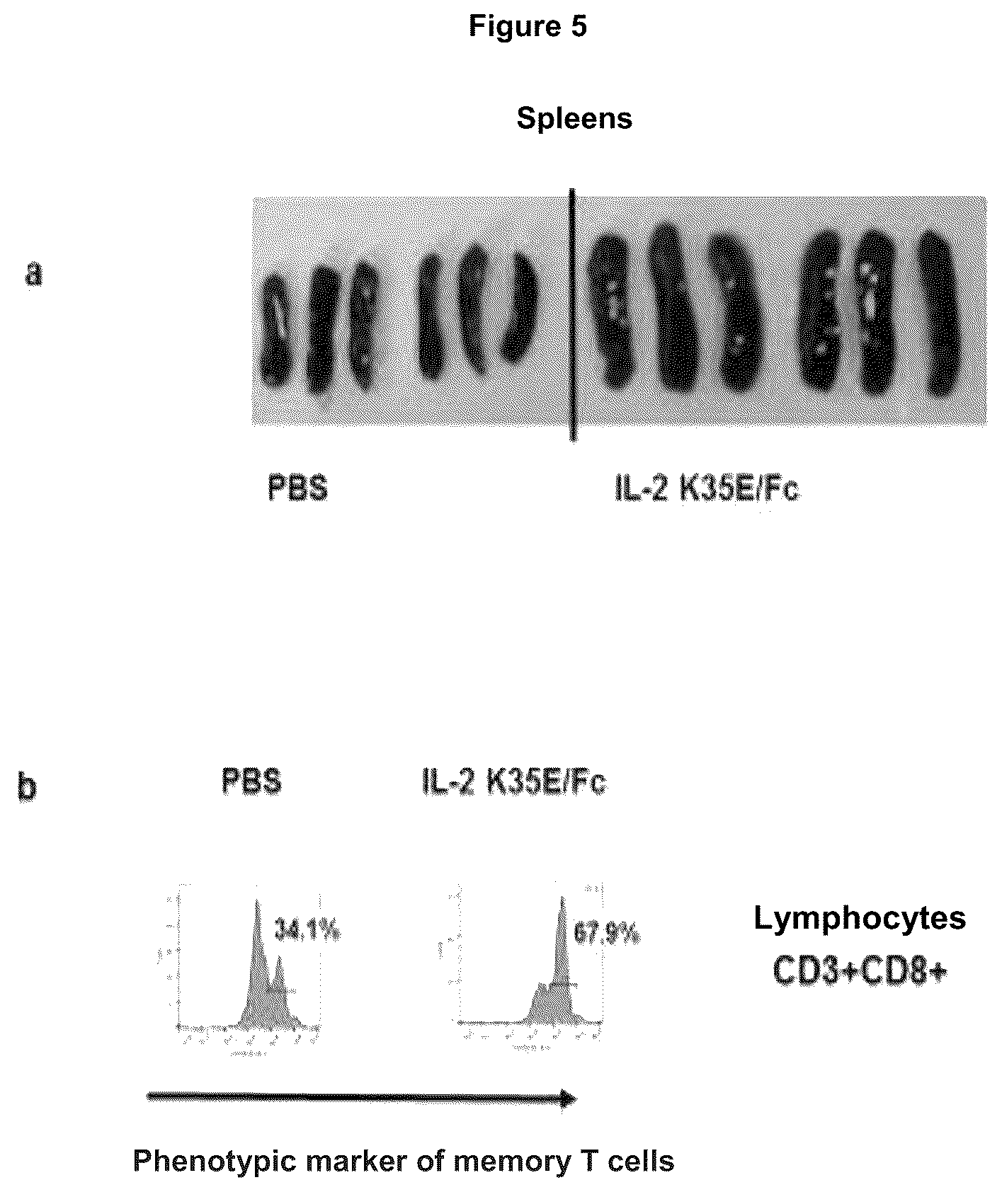 Patent US12312388 Figure 5 – Method for increasing the secretion levels of interleukin 2 and muteins thereof by introducing a point mutation