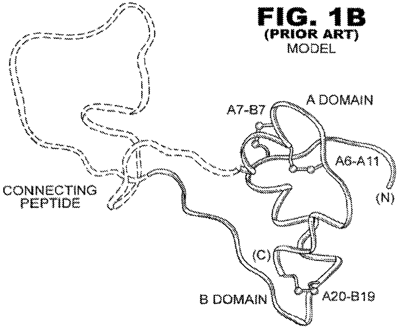 Patent US12312390 Figure 2 – Rapid-acting insulin analogues of enhanced stability
