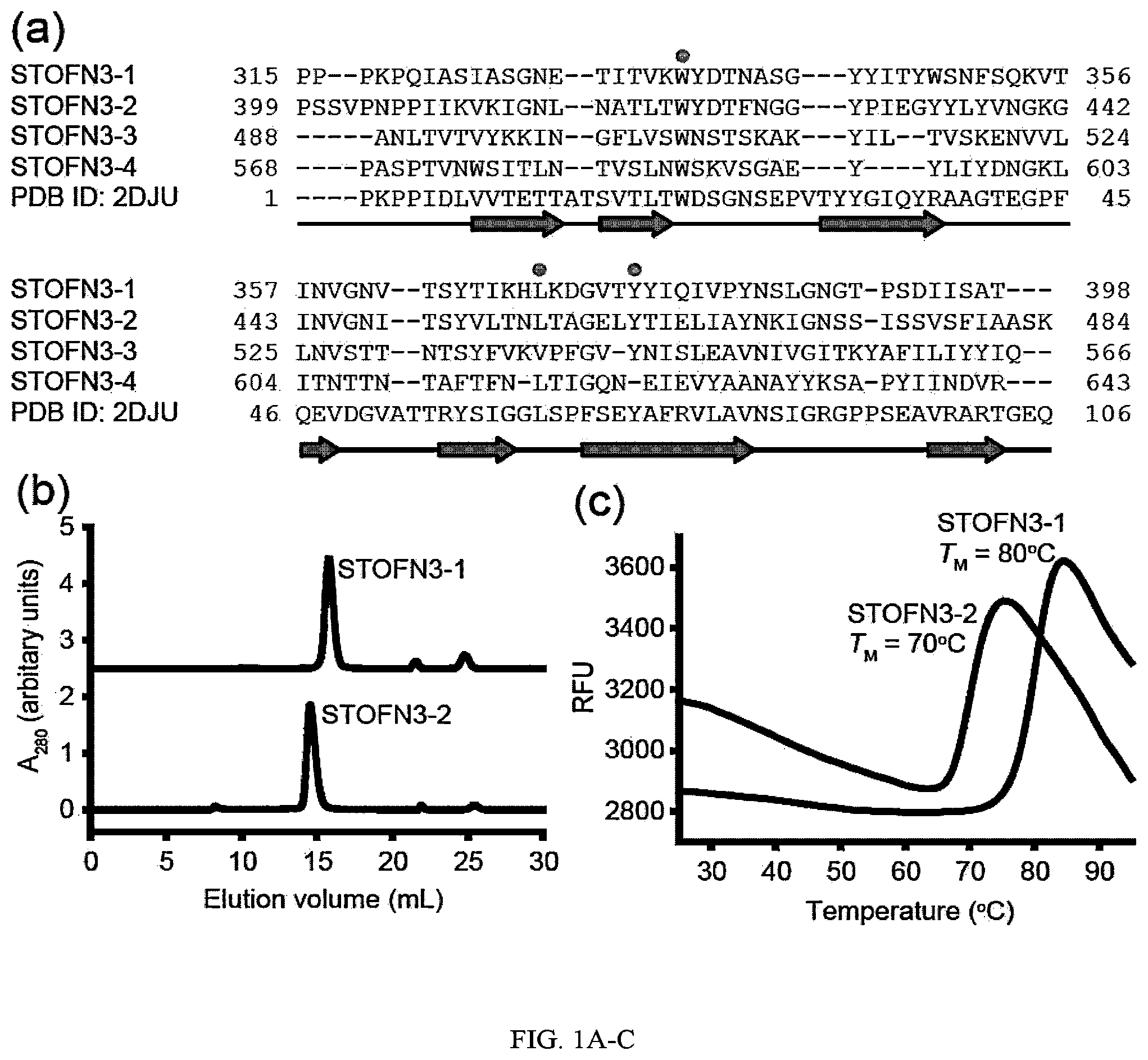 Patent US12312392 — Methods and composition involving thermophilic fibronectin type III (FN3) monobodies — Figure 1