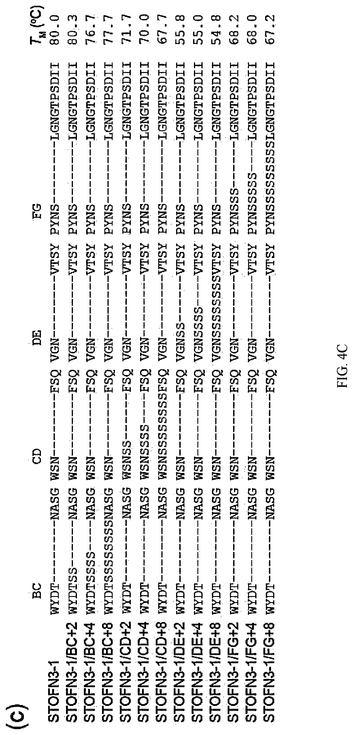 Patent US12312392 Figure 6 – Methods and composition involving thermophilic fibronectin type III (FN3) monobodies