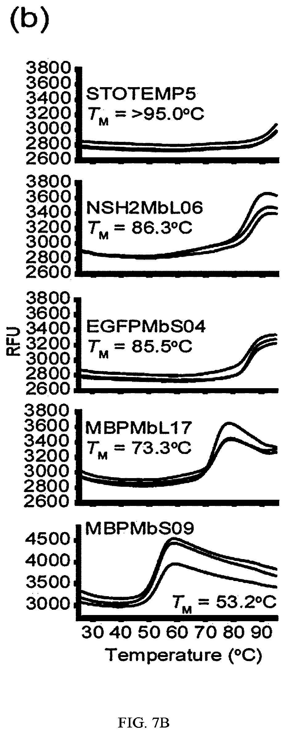 Patent US12312392 Figure 11 – Methods and composition involving thermophilic fibronectin type III (FN3) monobodies