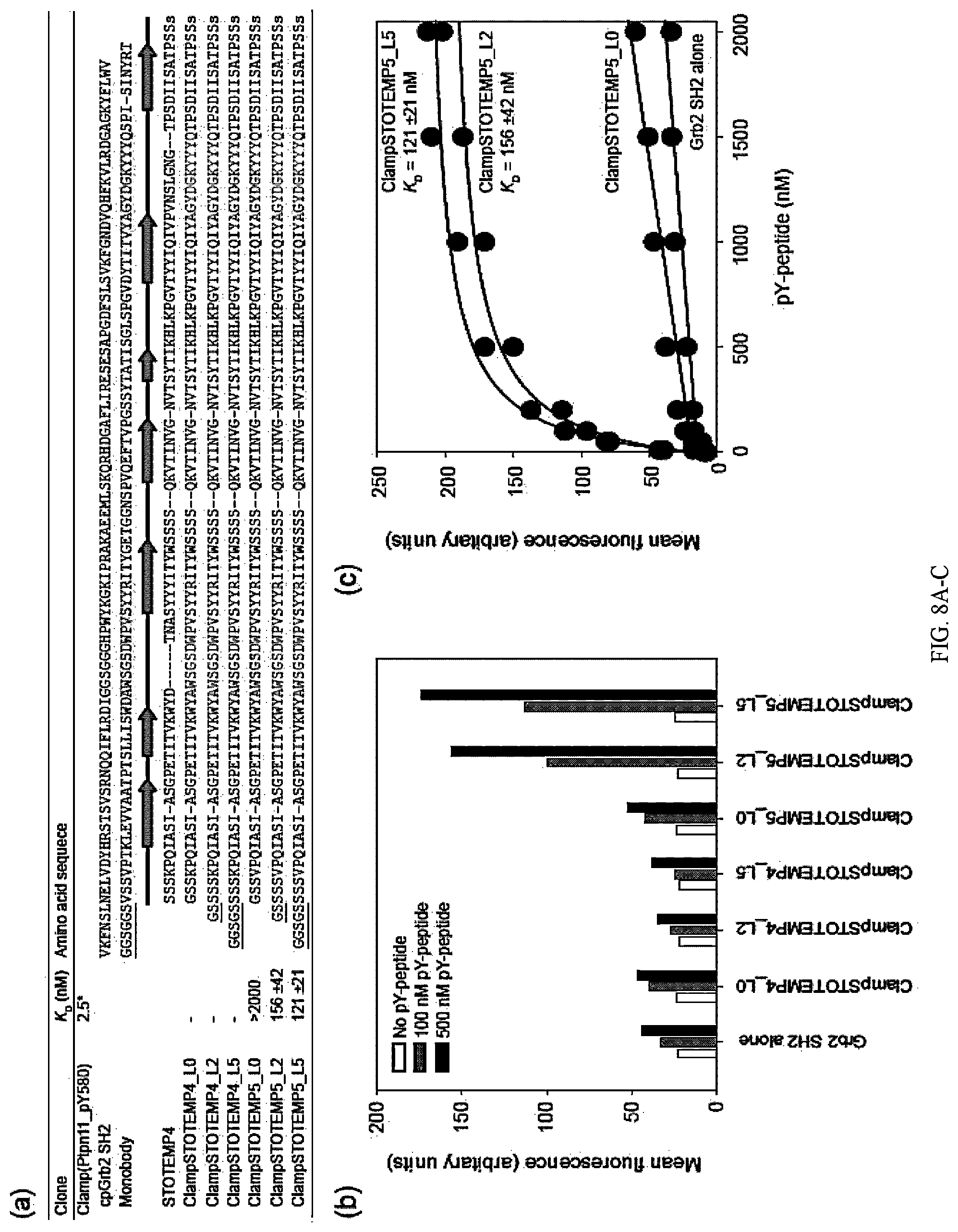 Patent US12312392 Figure 13 – Methods and composition involving thermophilic fibronectin type III (FN3) monobodies