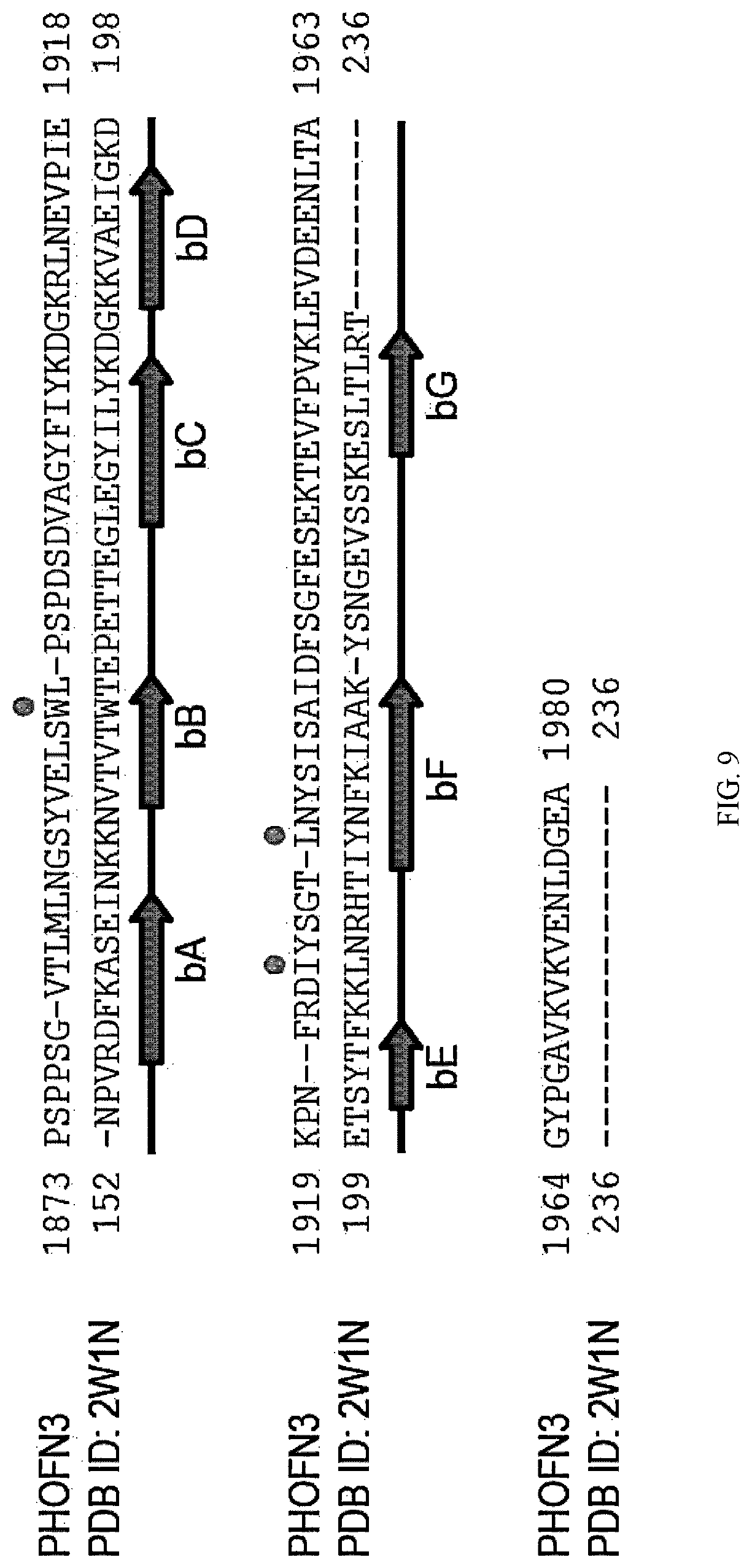 Patent US12312392 Figure 14 – Methods and composition involving thermophilic fibronectin type III (FN3) monobodies