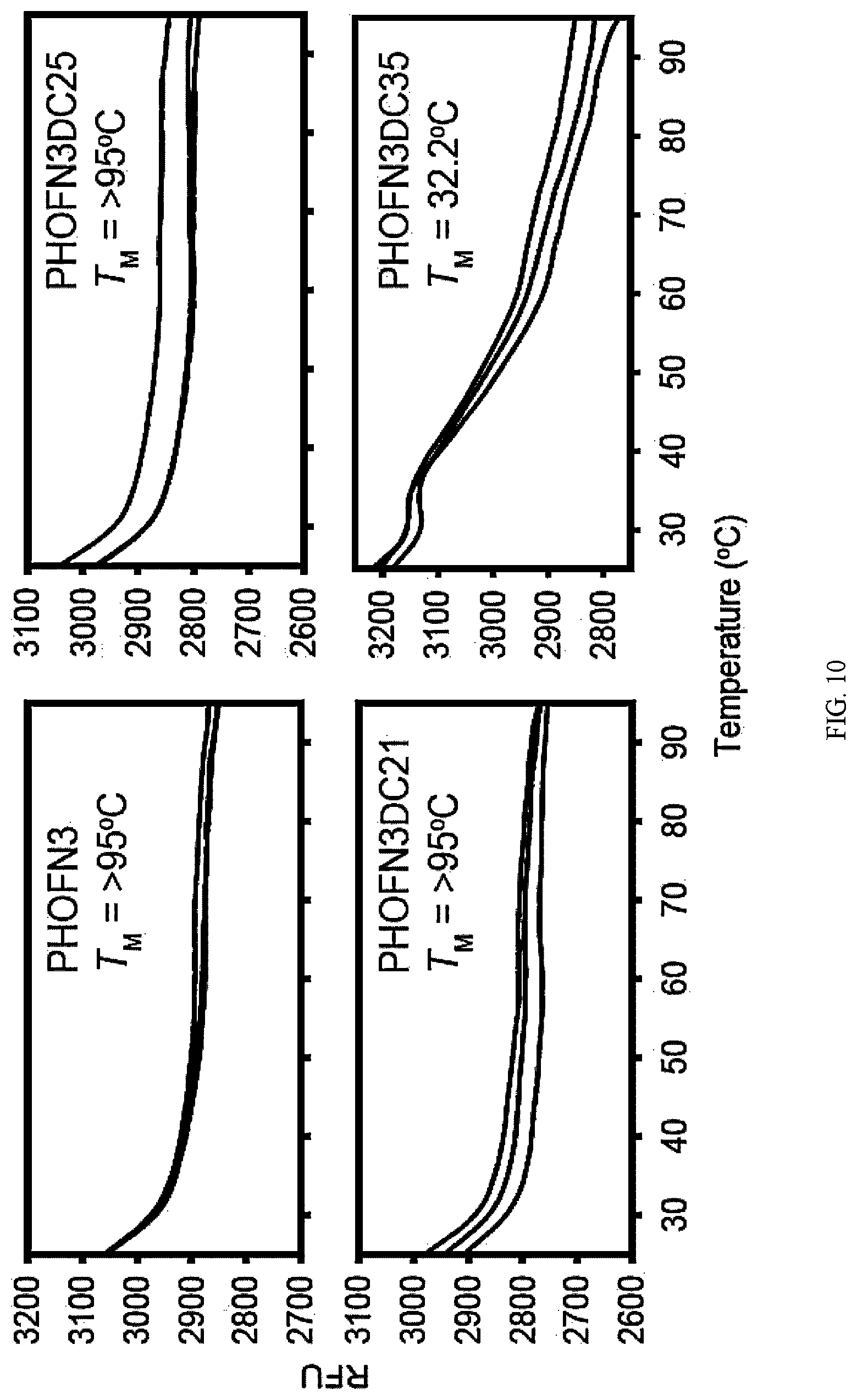 Patent US12312392 Figure 15 – Methods and composition involving thermophilic fibronectin type III (FN3) monobodies