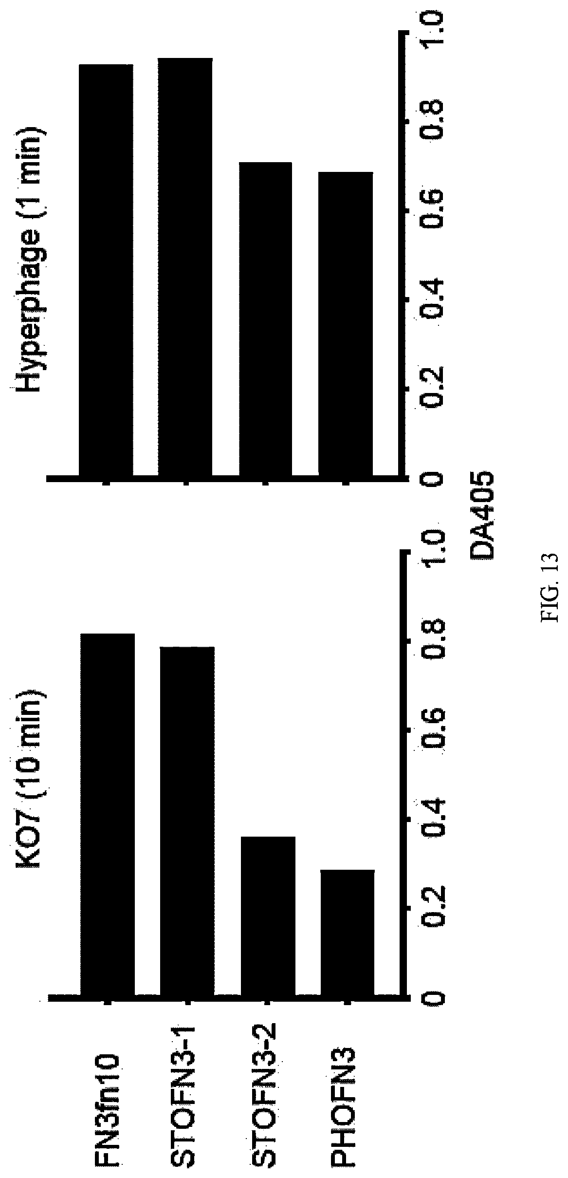Patent US12312392 Figure 18 – Methods and composition involving thermophilic fibronectin type III (FN3) monobodies