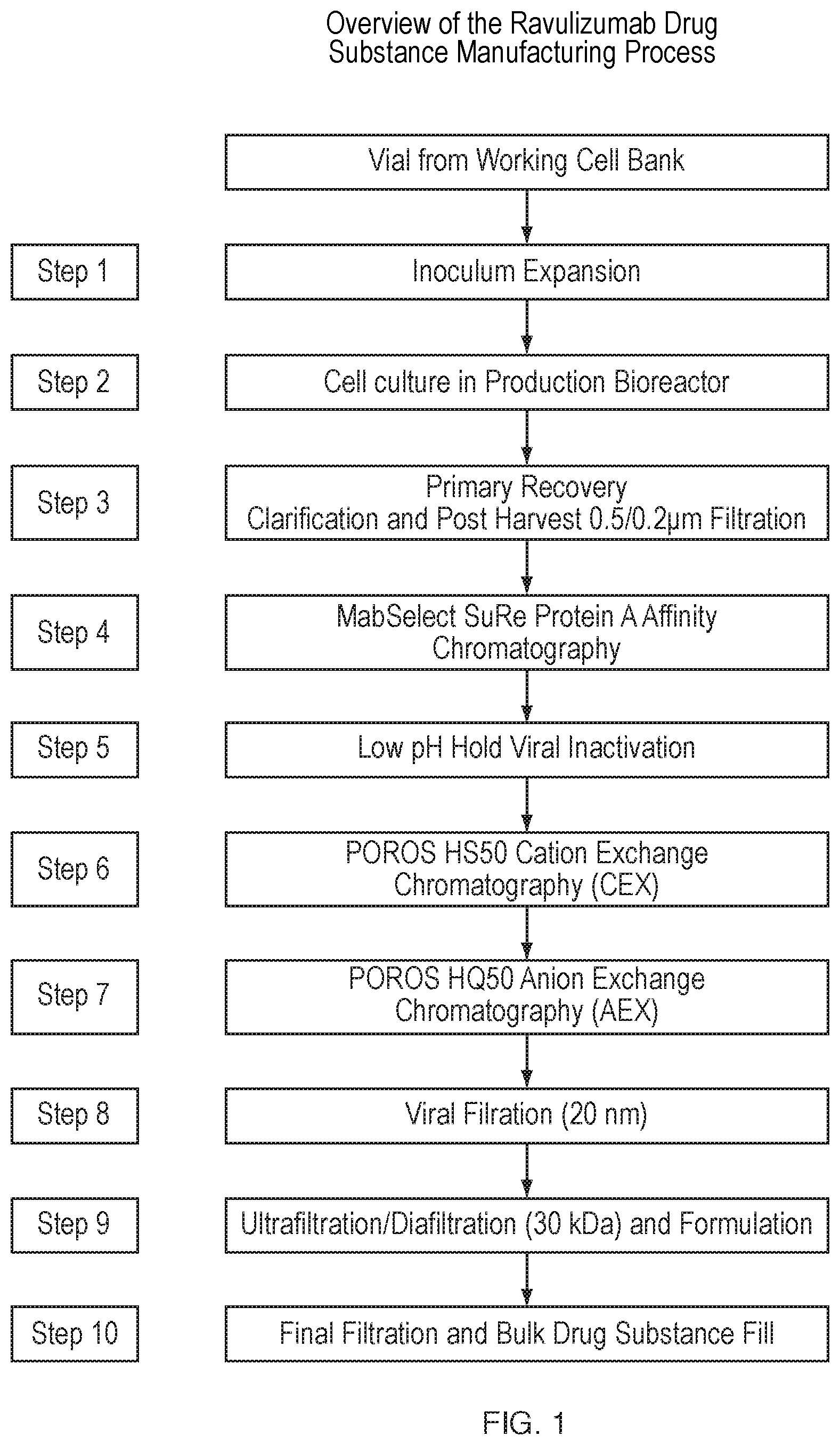 Patent US12312394 Figure 1 – Methods of producing anti-C5 antibodies