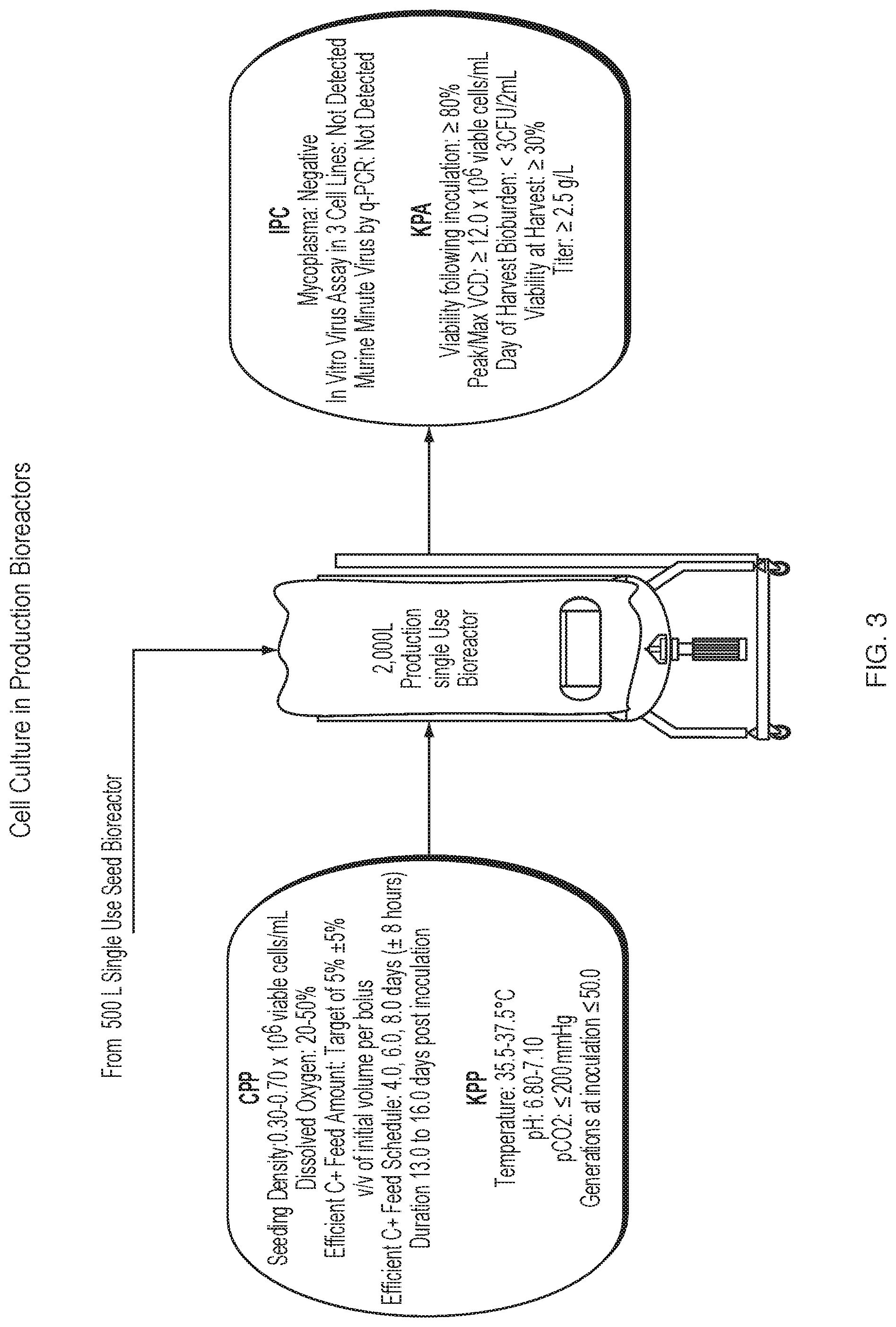 Patent US12312394 Figure 3 – Methods of producing anti-C5 antibodies