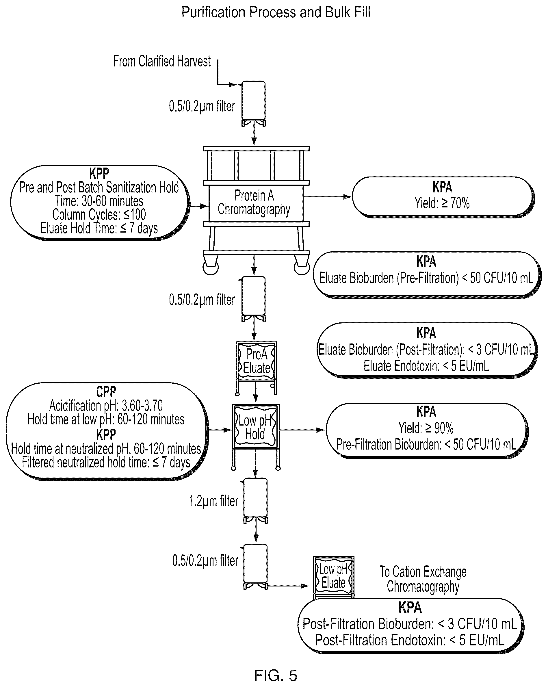 Patent US12312394 Figure 5 – Methods of producing anti-C5 antibodies