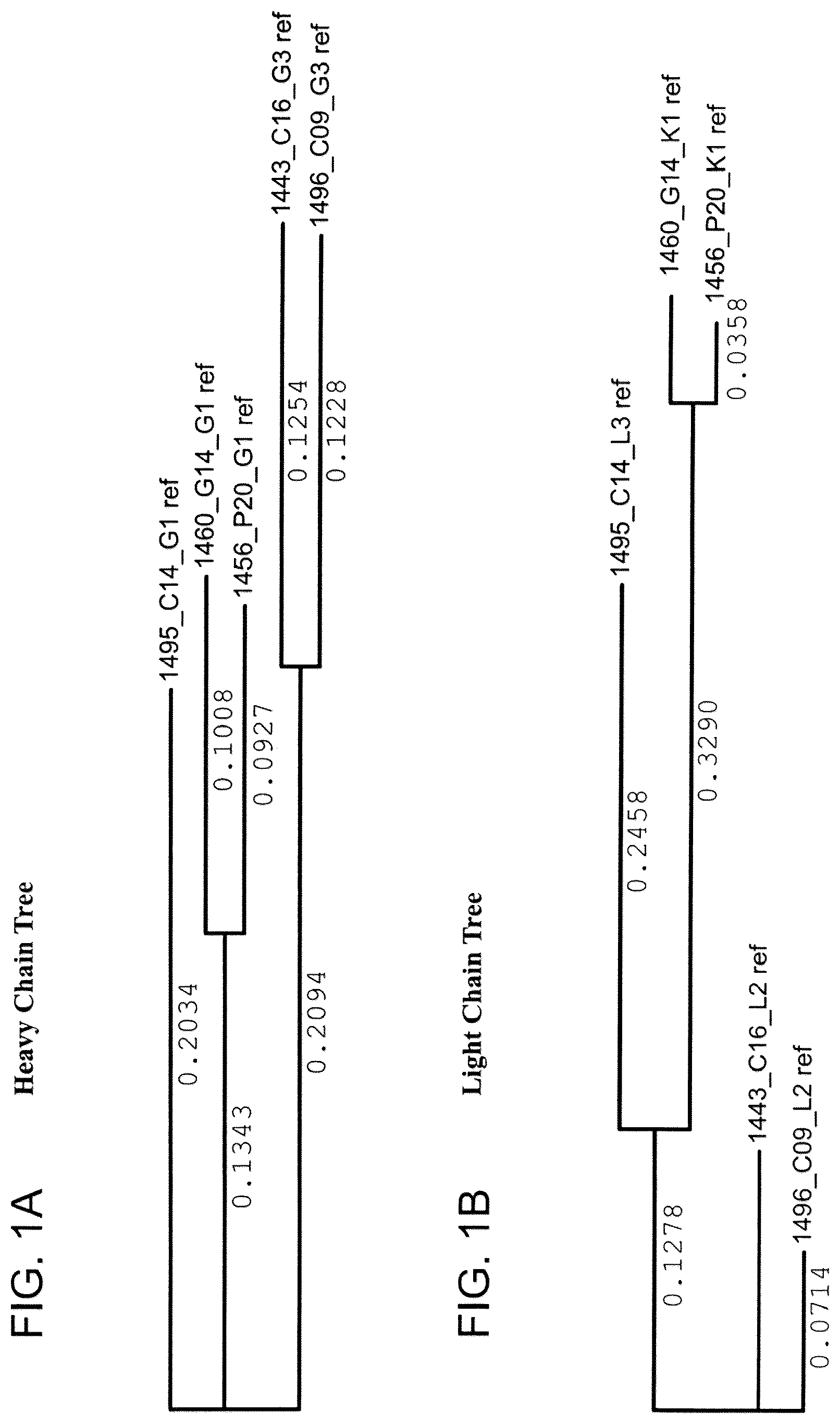 Patent US12312396 Figure 1 – Monoclonal antibodies directed against trimeric forms of the HIV-1 envelope glycoprotein with broad and potent neutralizing activity